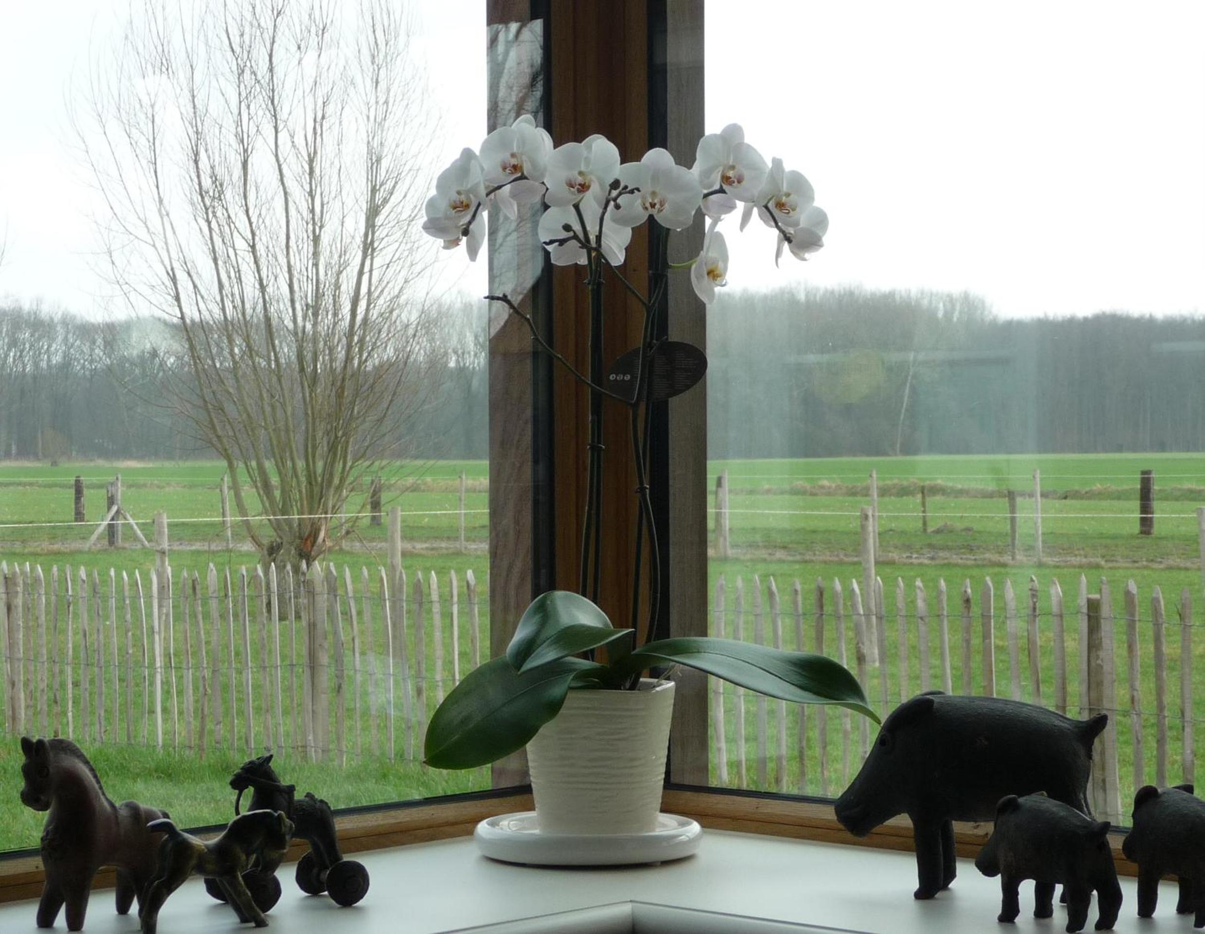 B&B De Vossenbarm