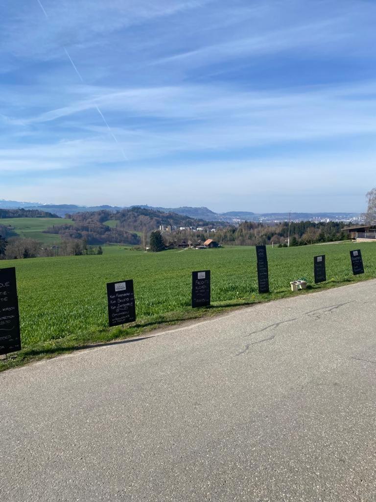 Alpenblick Ferenberg Bern