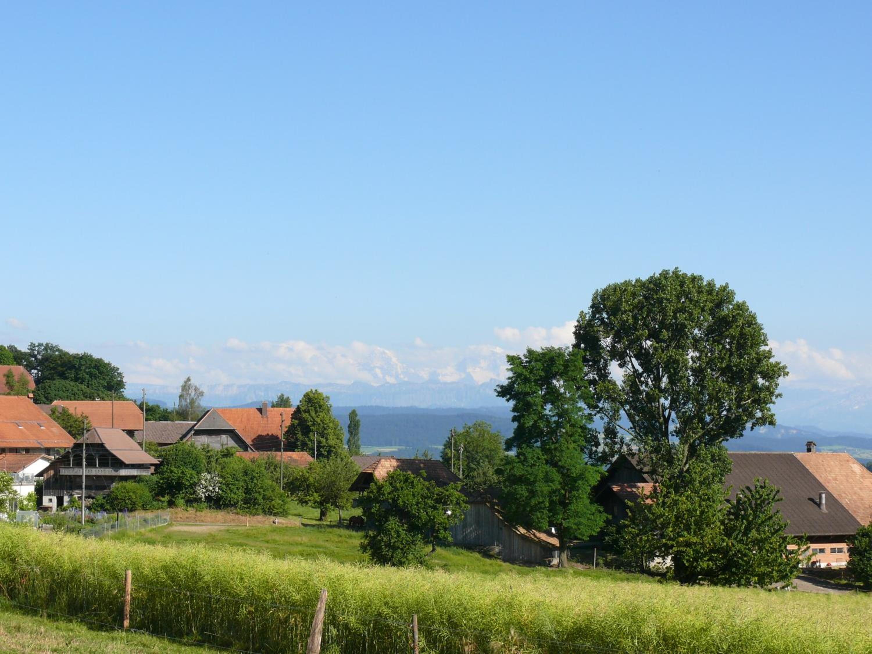 Alpenblick Ferenberg Bern