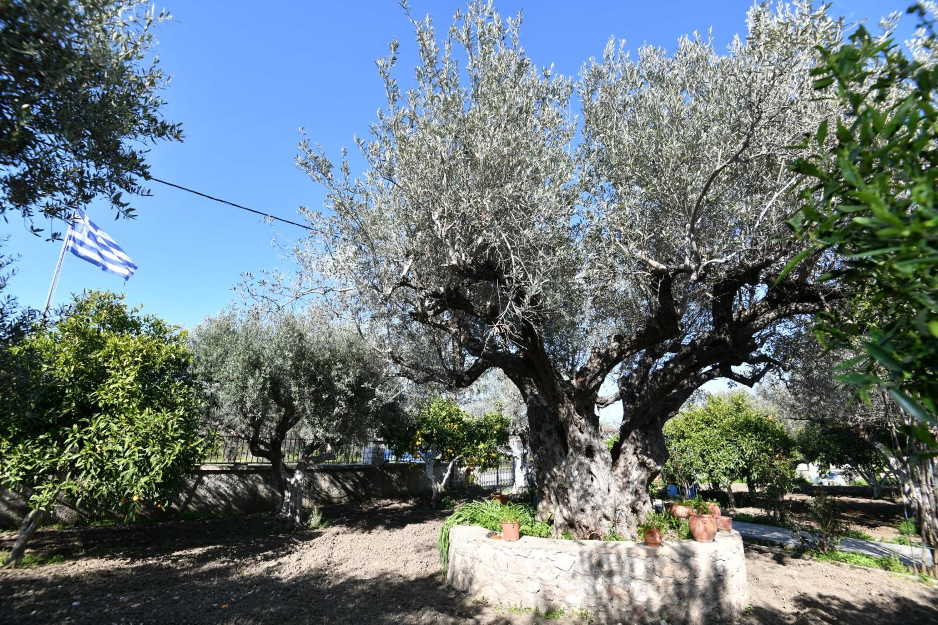 Villa Kavalino