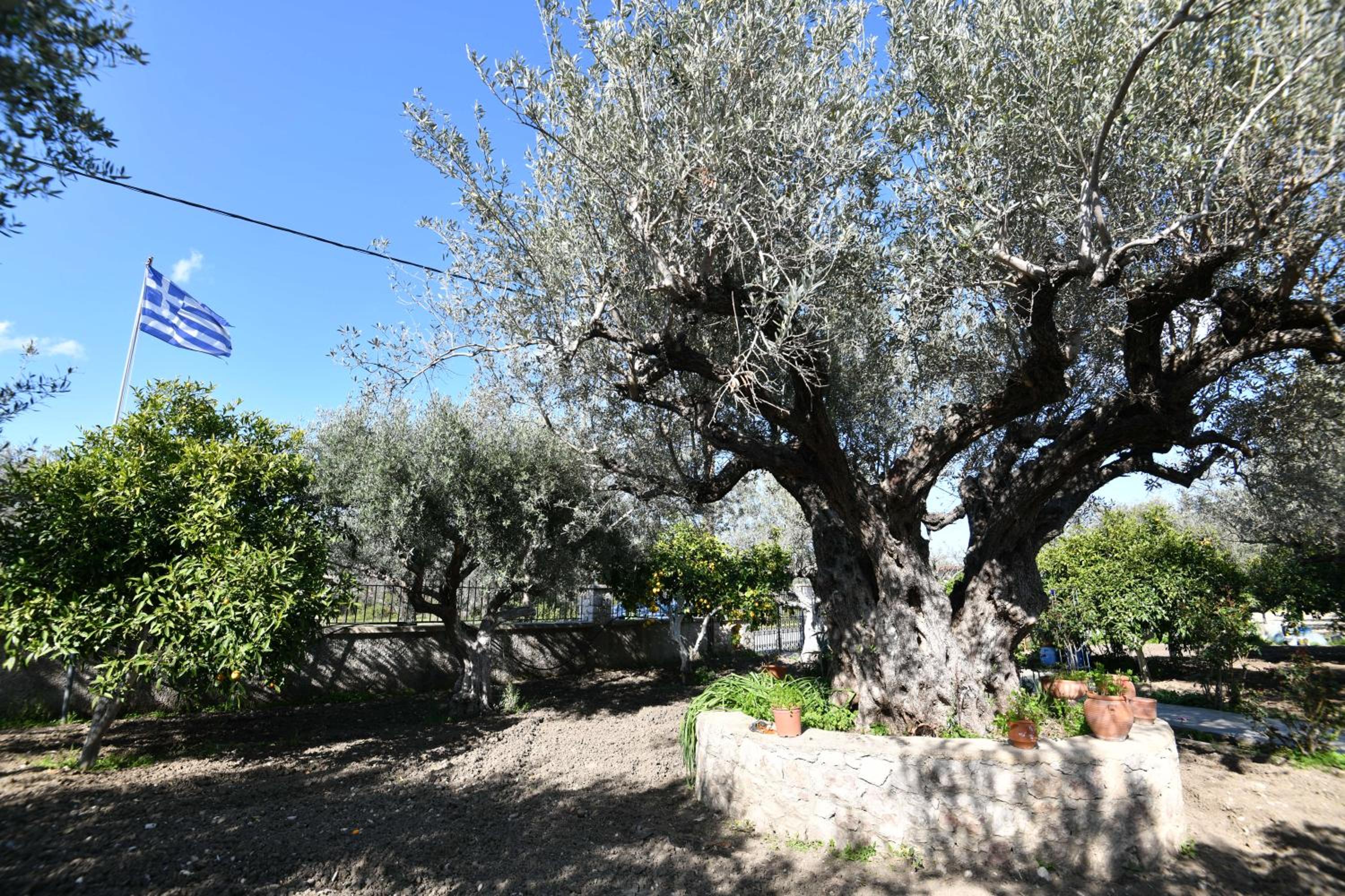 Villa Kavalino