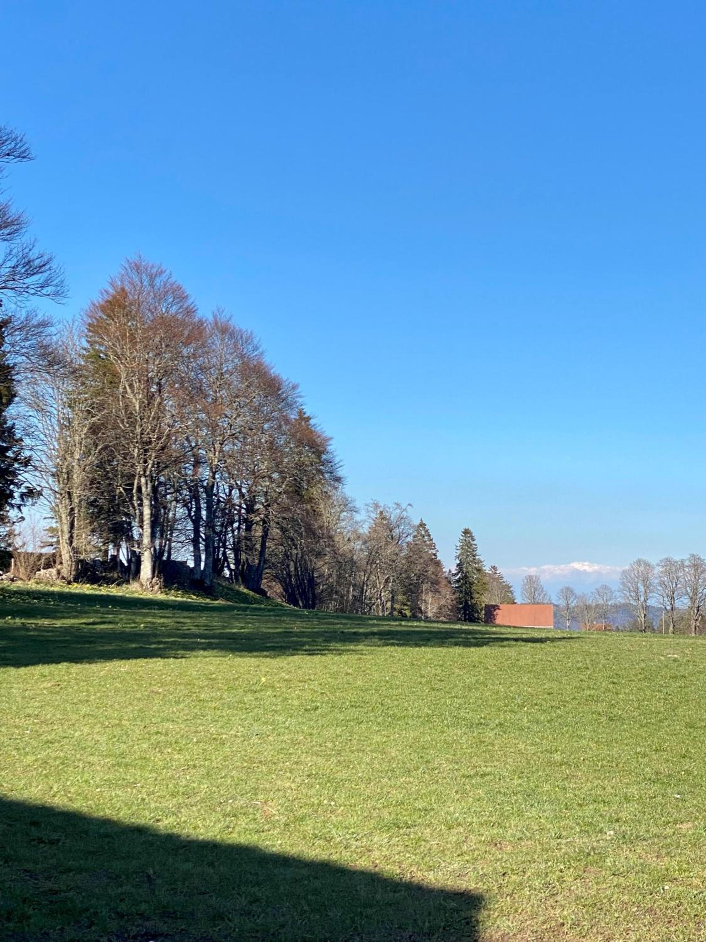 Vacances Mont-Crosin, Studio chez les Quadeurs