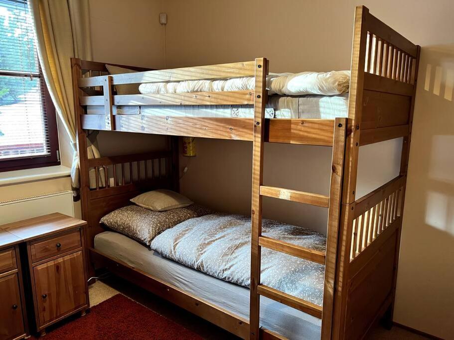 Apartmán Bílé Labe v centru města Špindlerův Mlýn