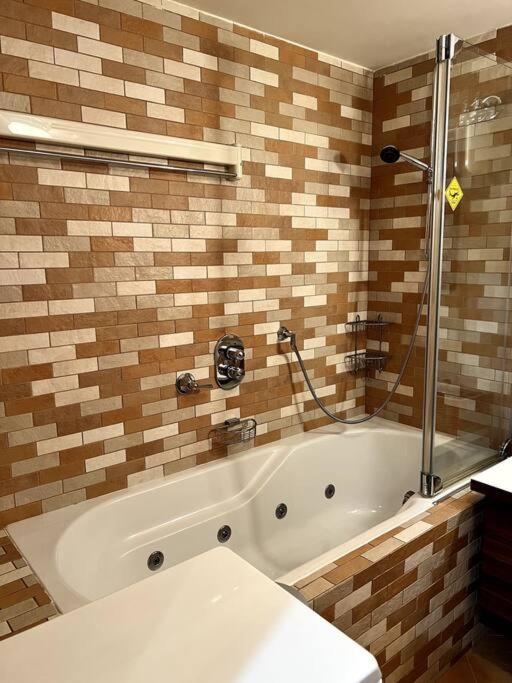 Apartmán Bílé Labe v centru města Špindlerův Mlýn