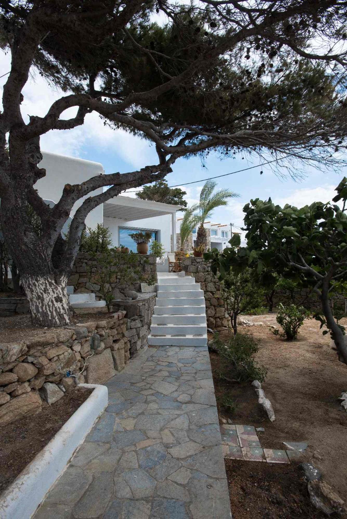 Mykonos Serendipity