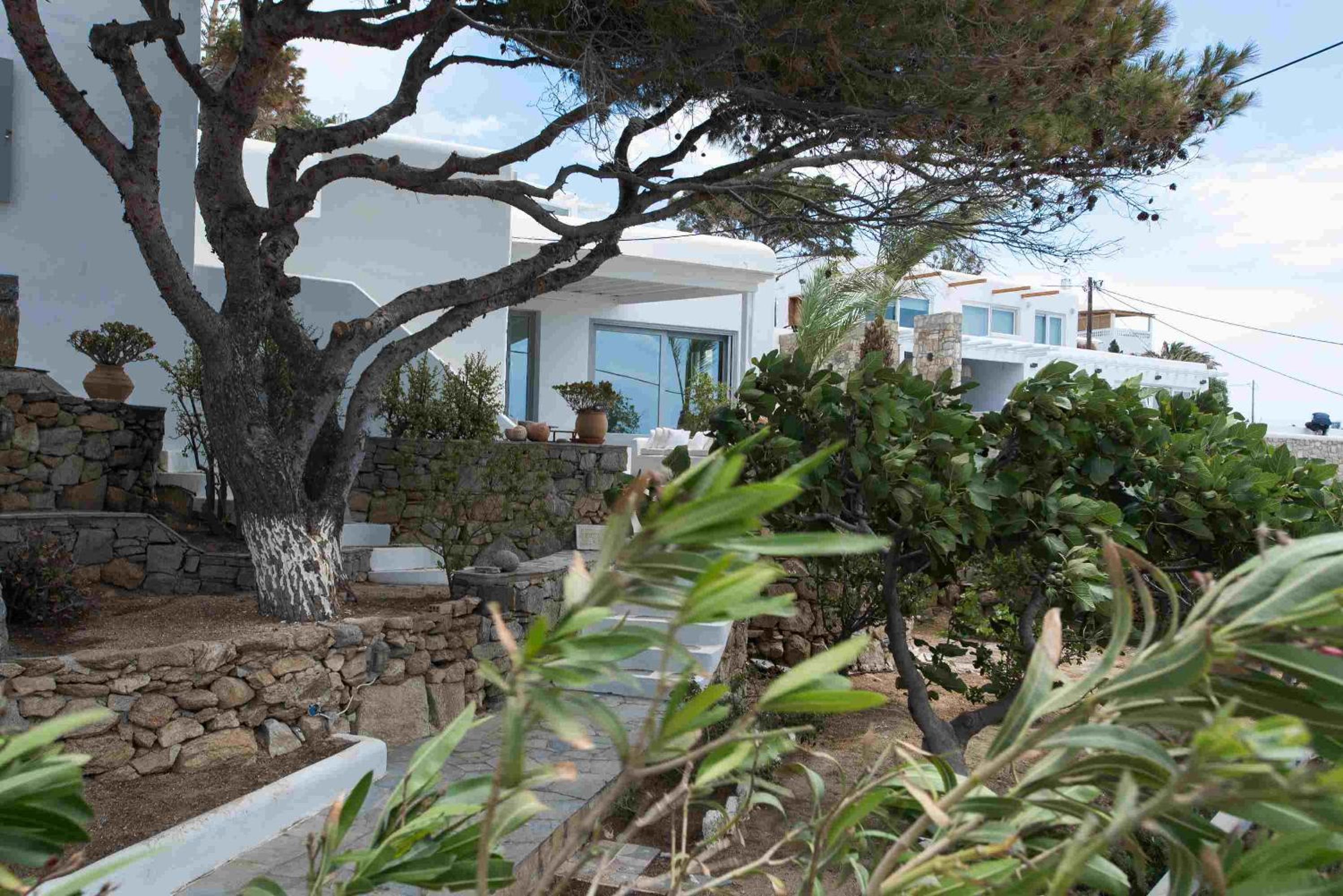 Mykonos Serendipity