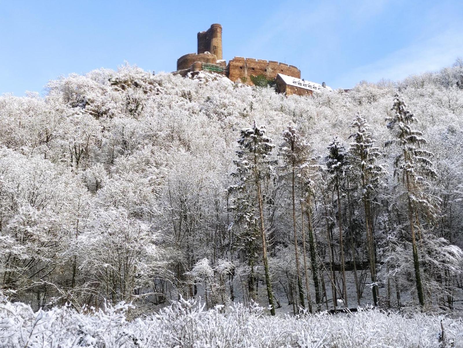 Ferienwohnung 'Unter der Burg'