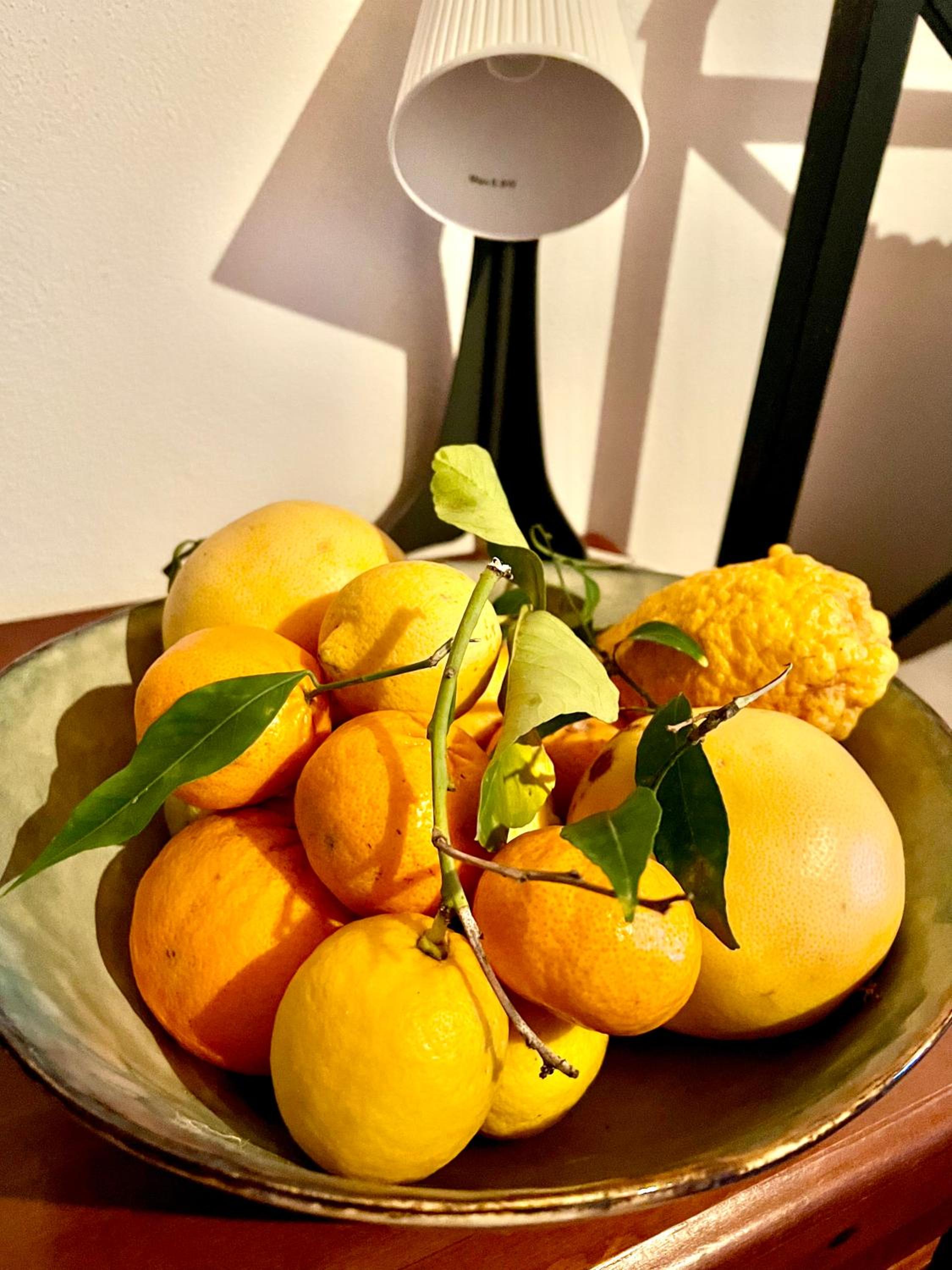 BellaLimone