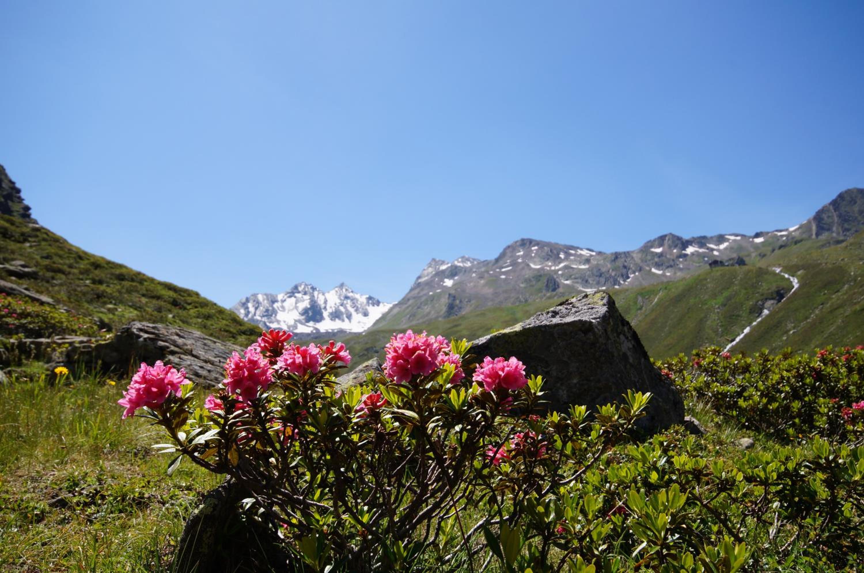 Appartementhaus Nadine