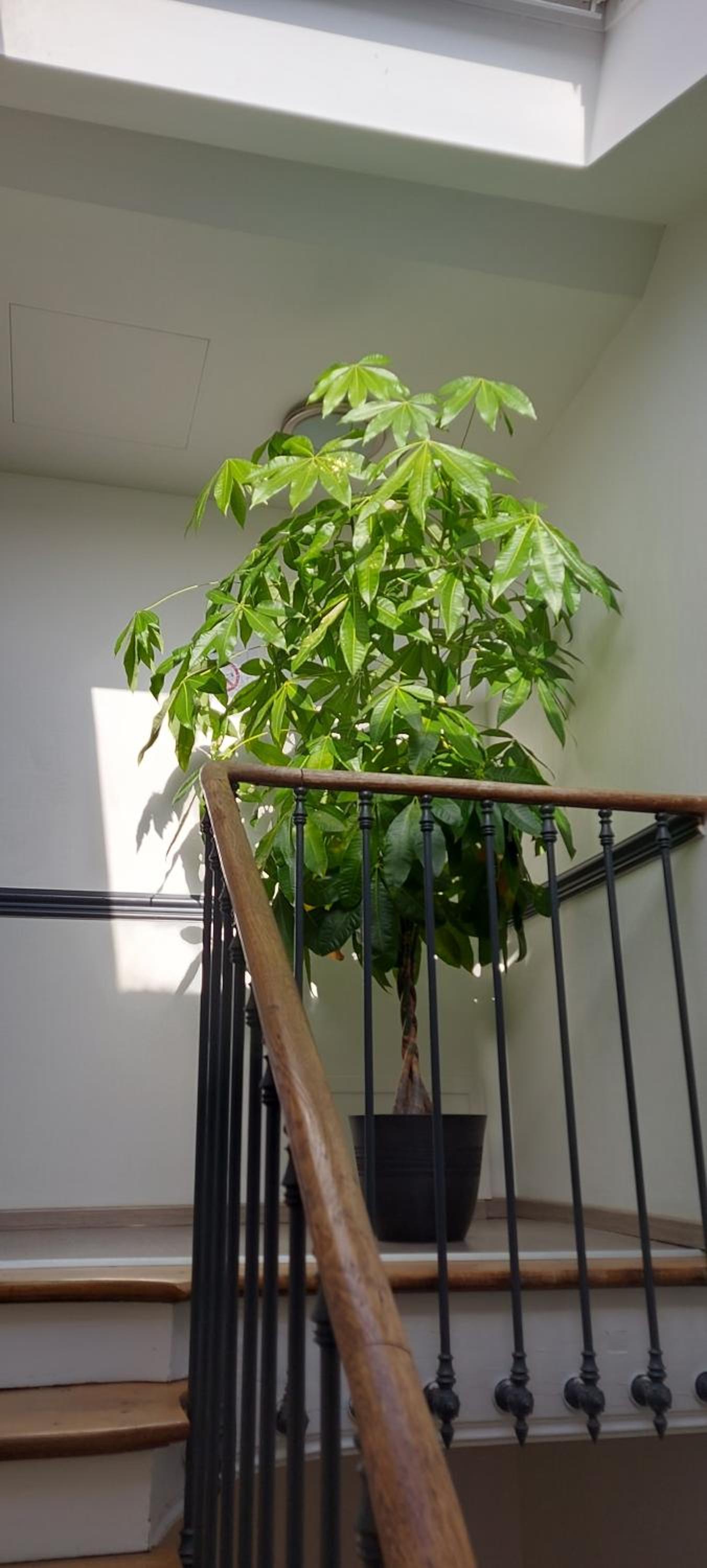 Photo 34