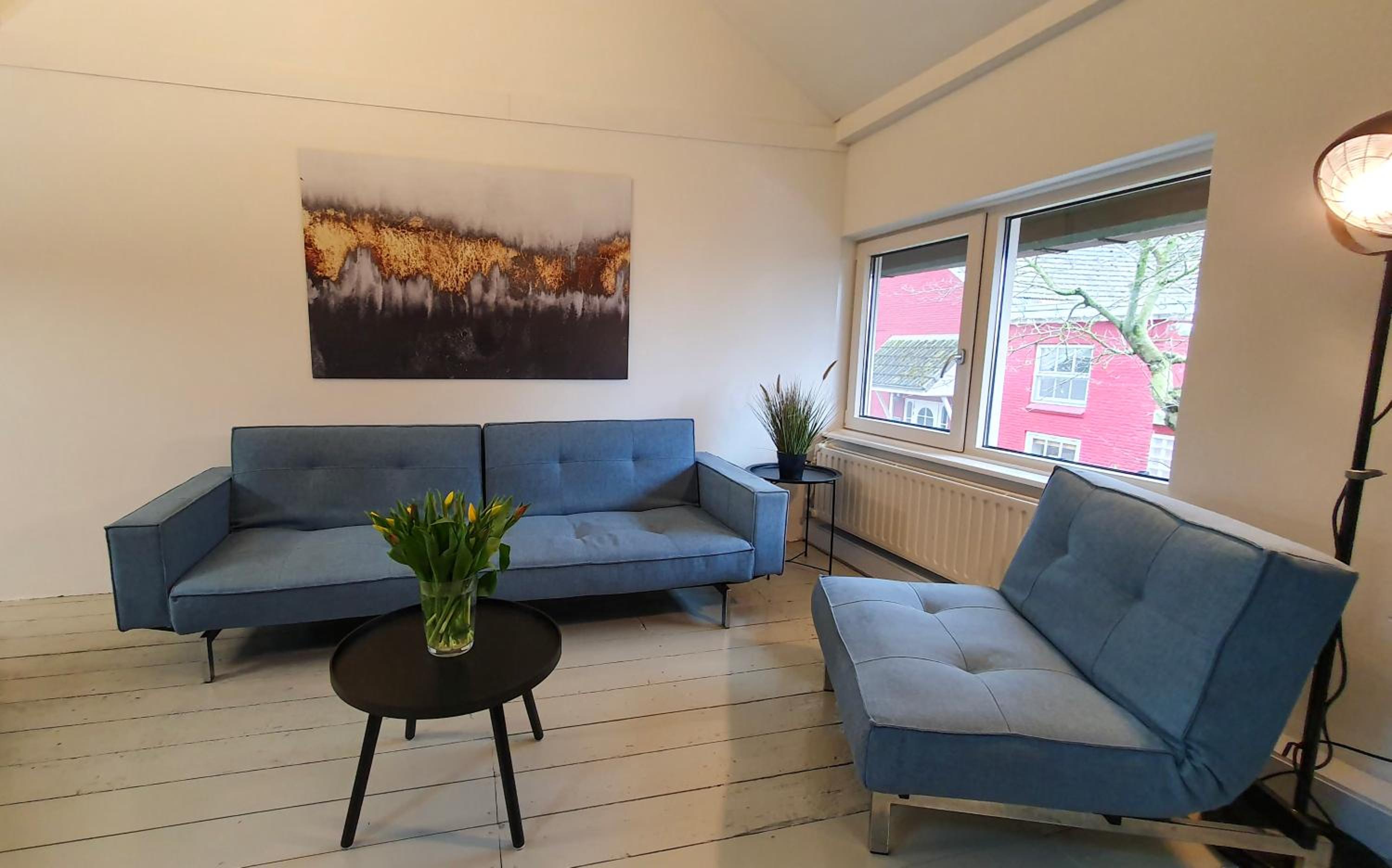 De Fluessen Loft view 4
