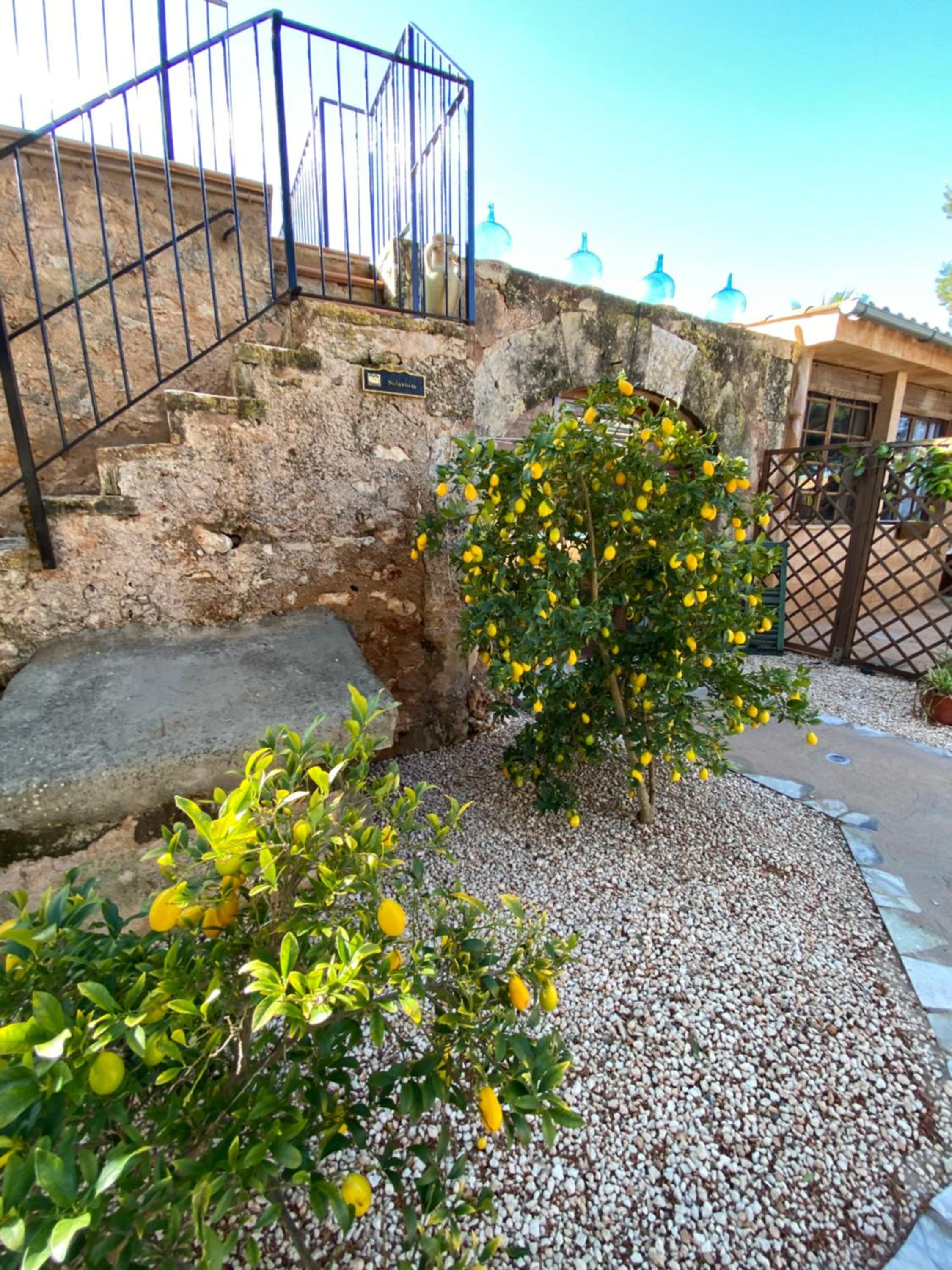 Finca Sa Canova Agroturismo