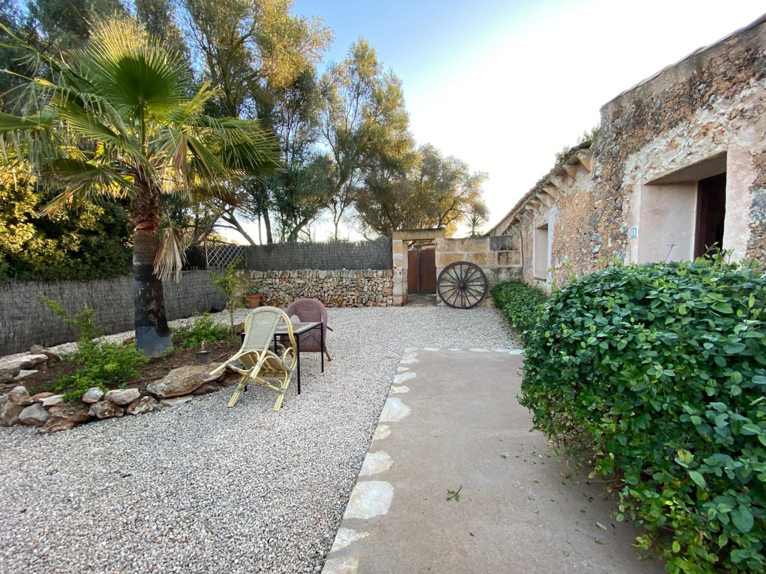 Finca Sa Canova Agroturismo