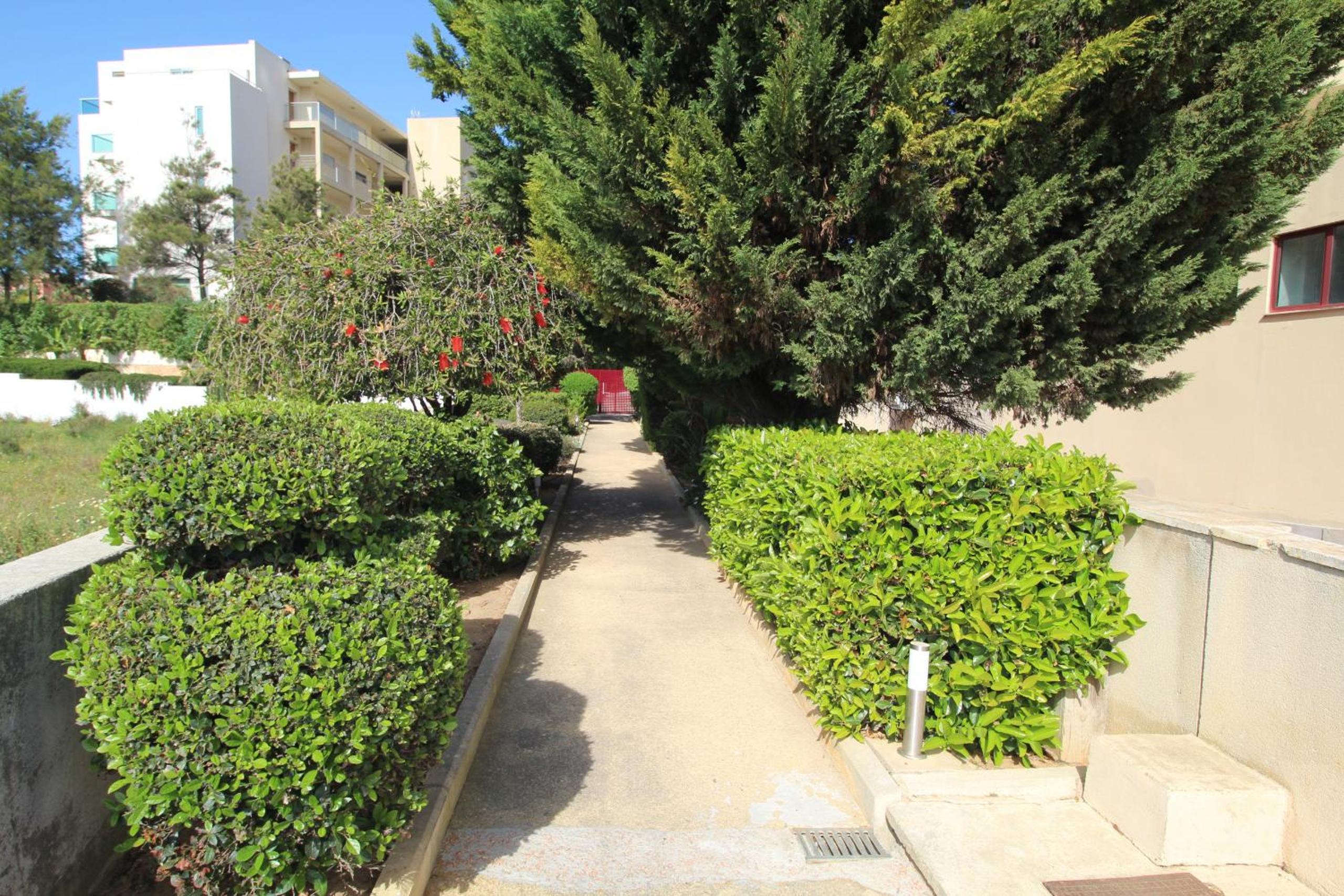 Photo 38