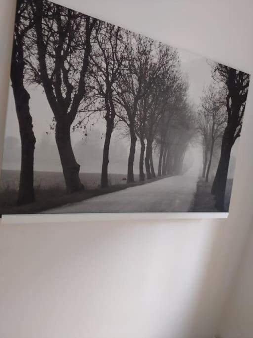 'Nulle Part Ailleurs'