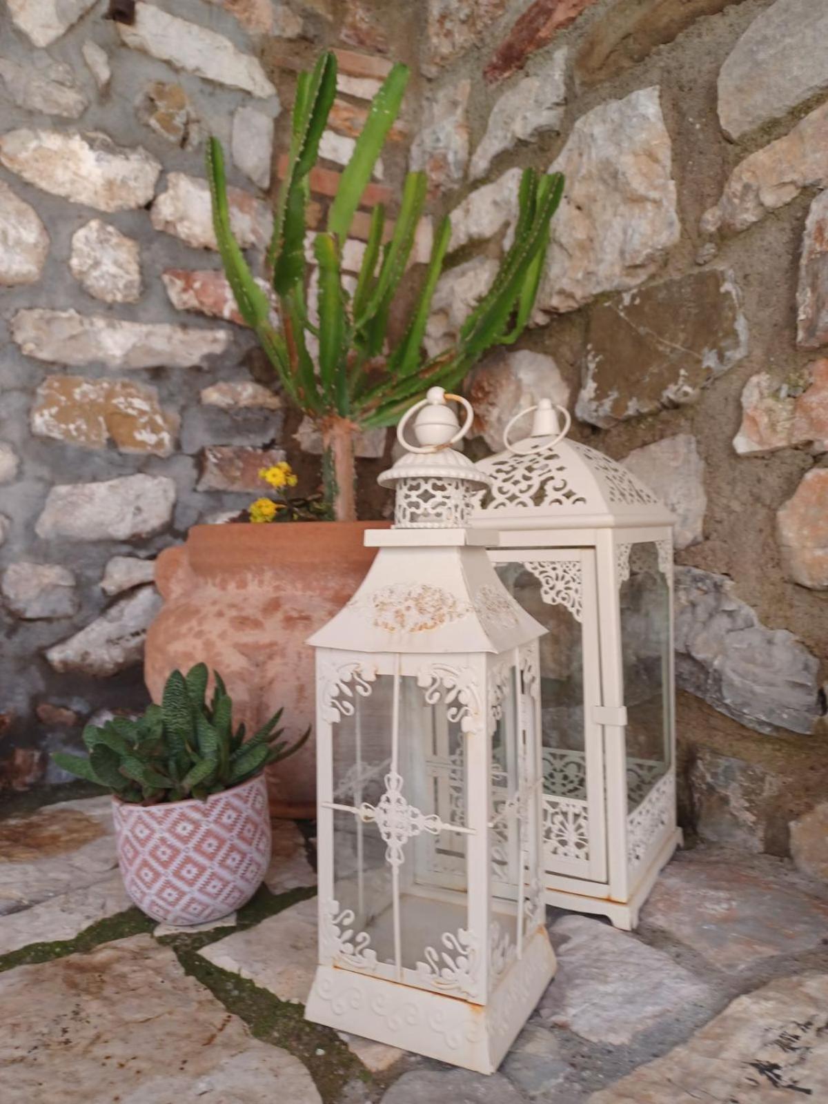 1571_ SUITES A2 photo 5