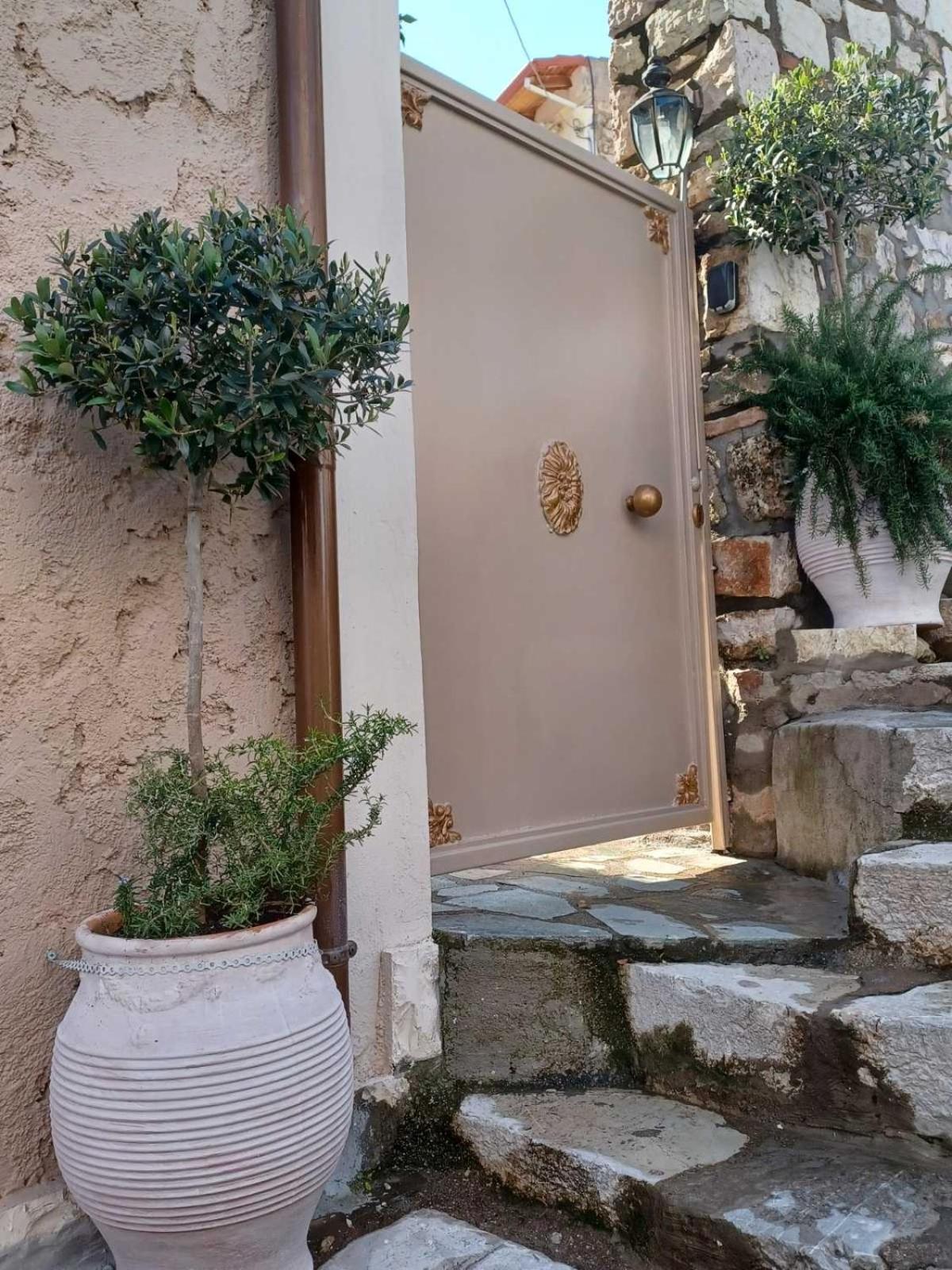 1571_ SUITES A2 photo 4