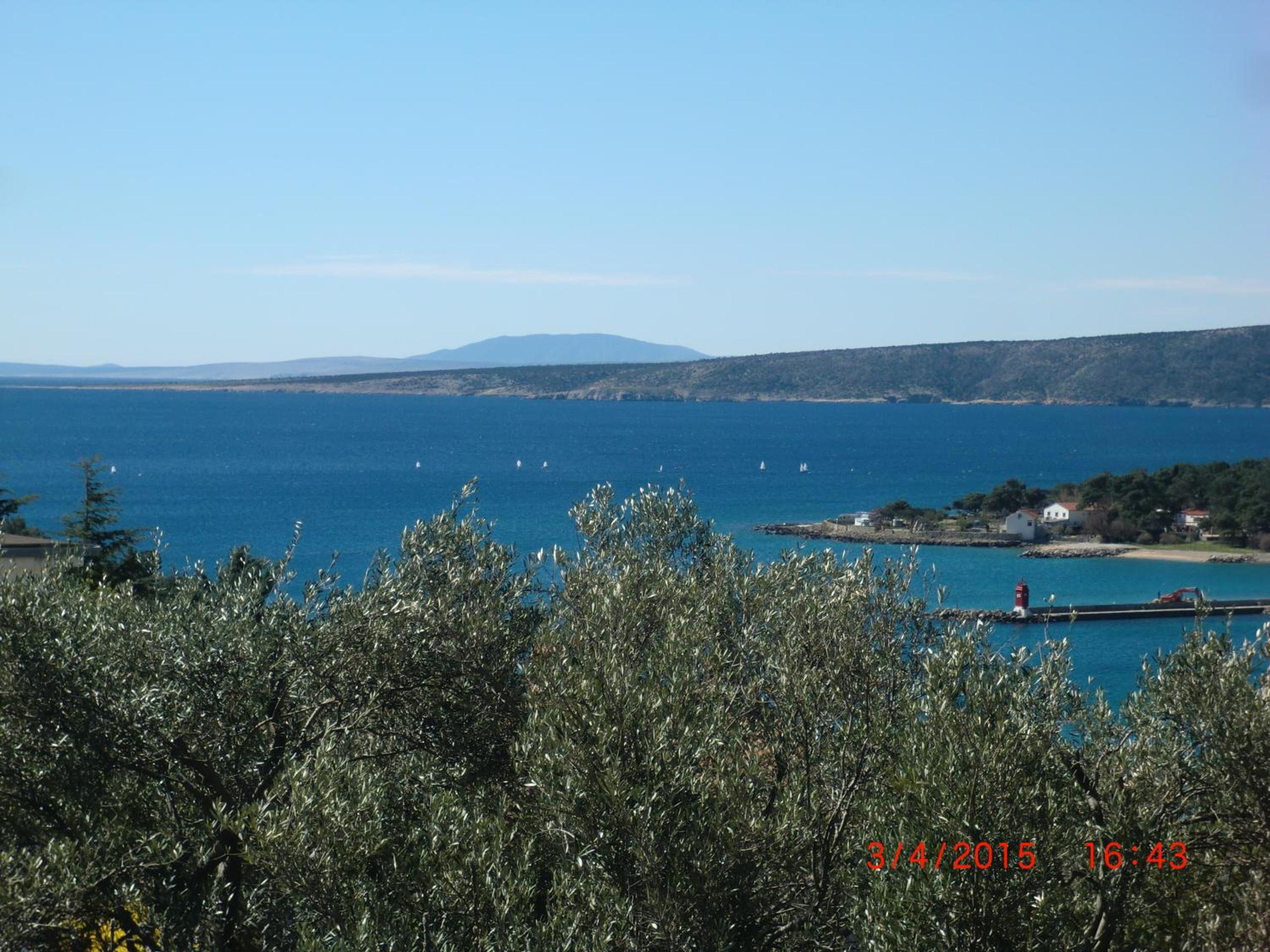 Photo 51