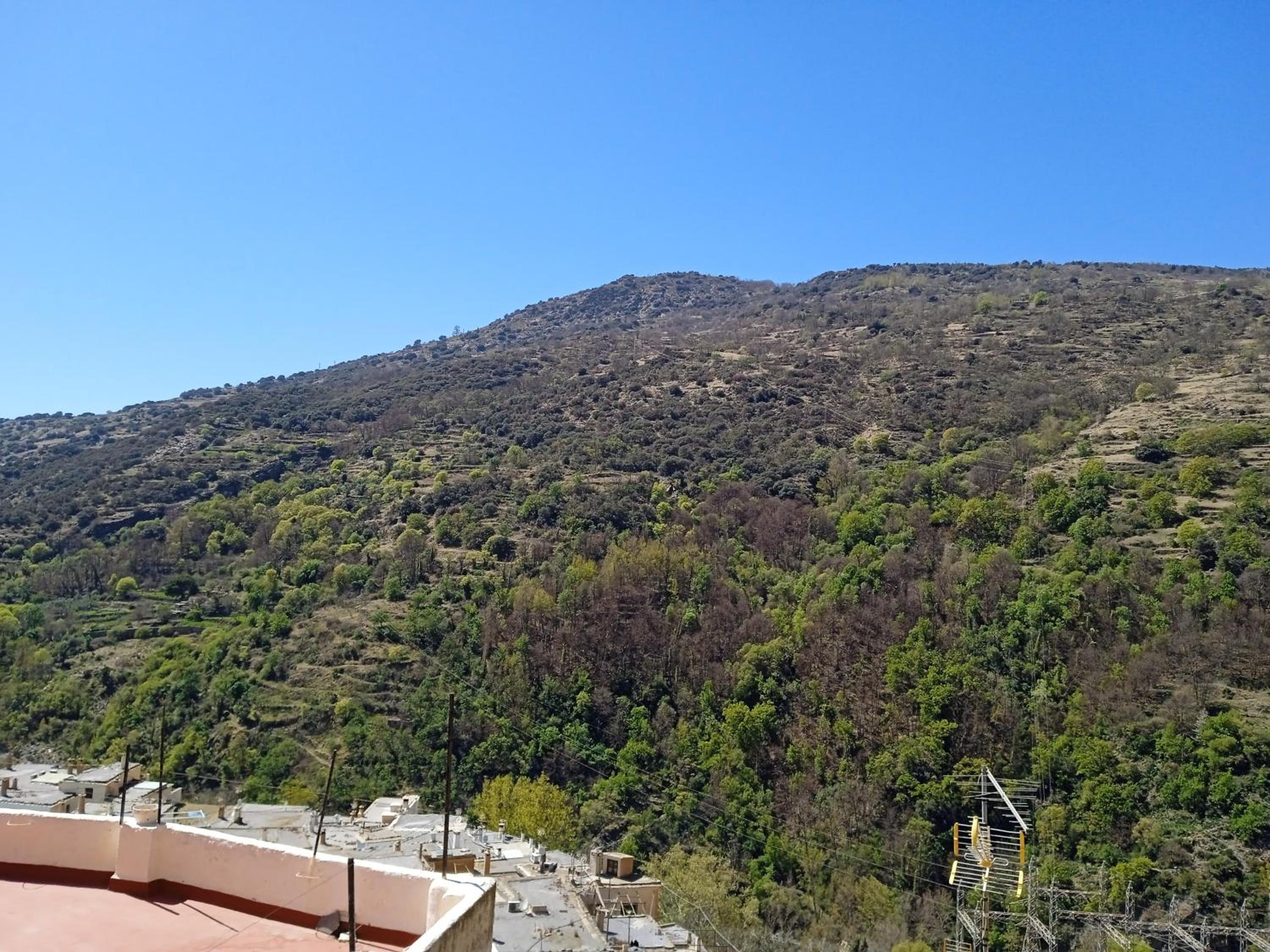 Casa Los Trillizos