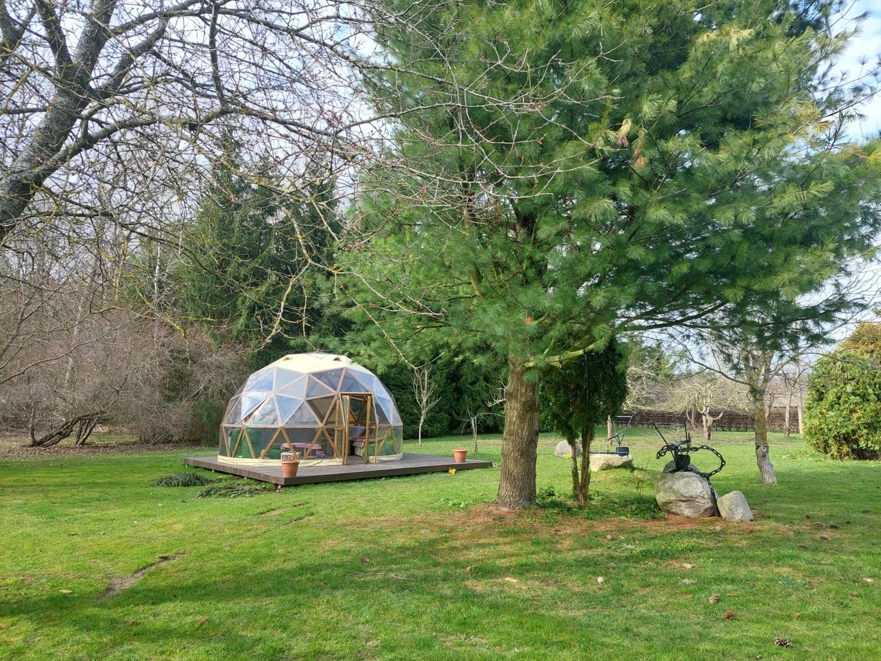 Photo 24