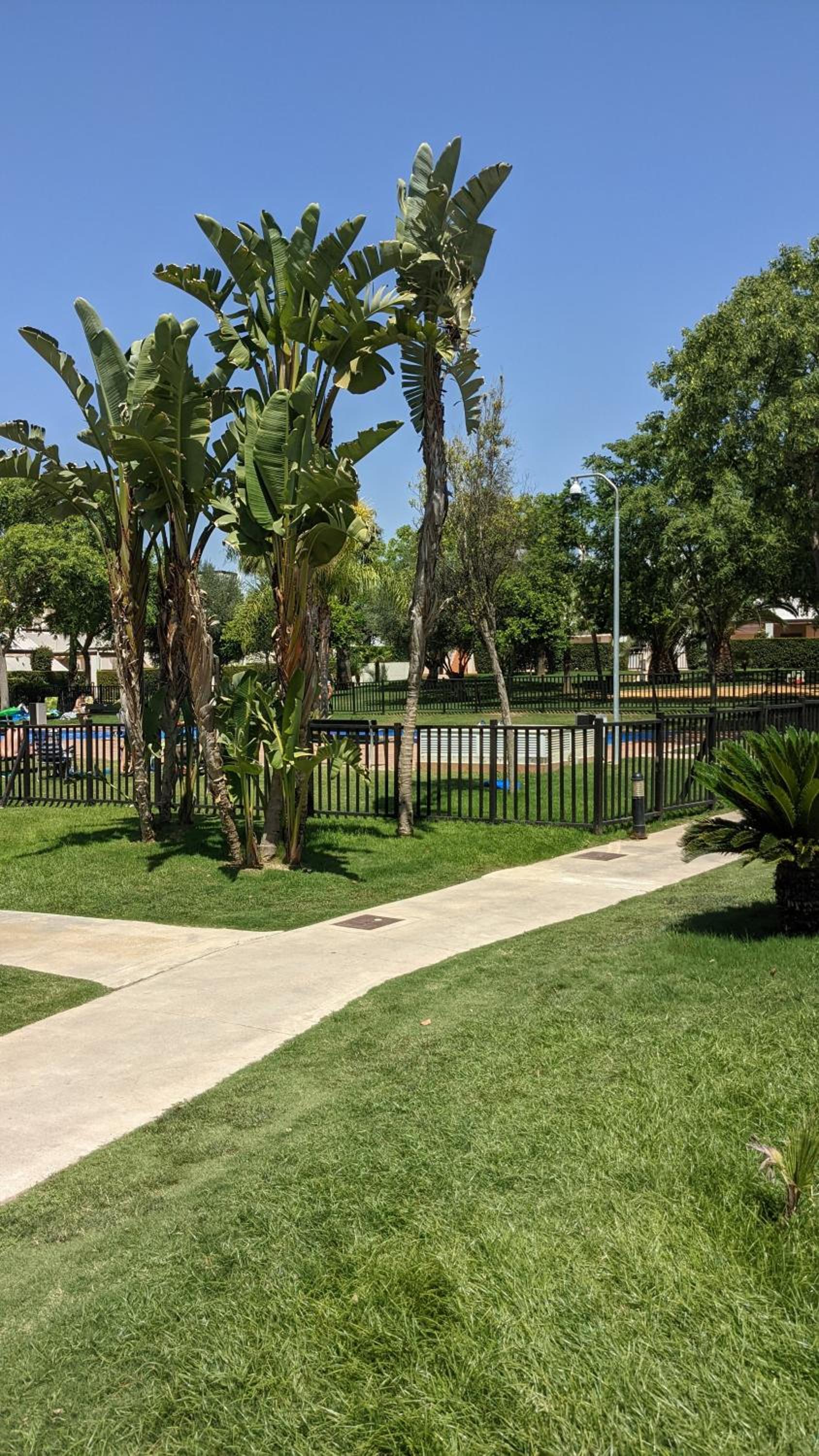 Spacious and peaceful apartment Jardin 2