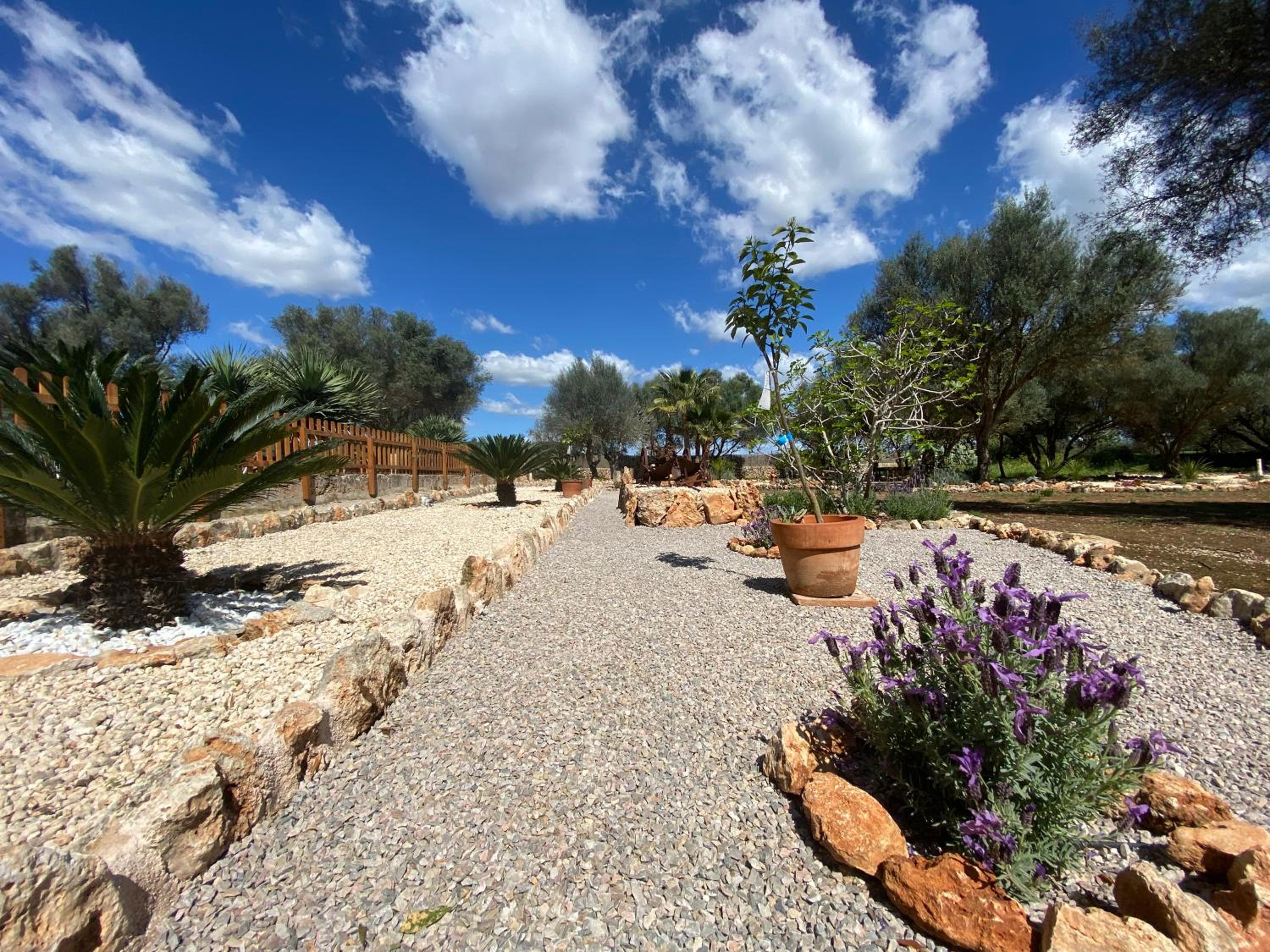 Finca Sa Canova Agroturismo