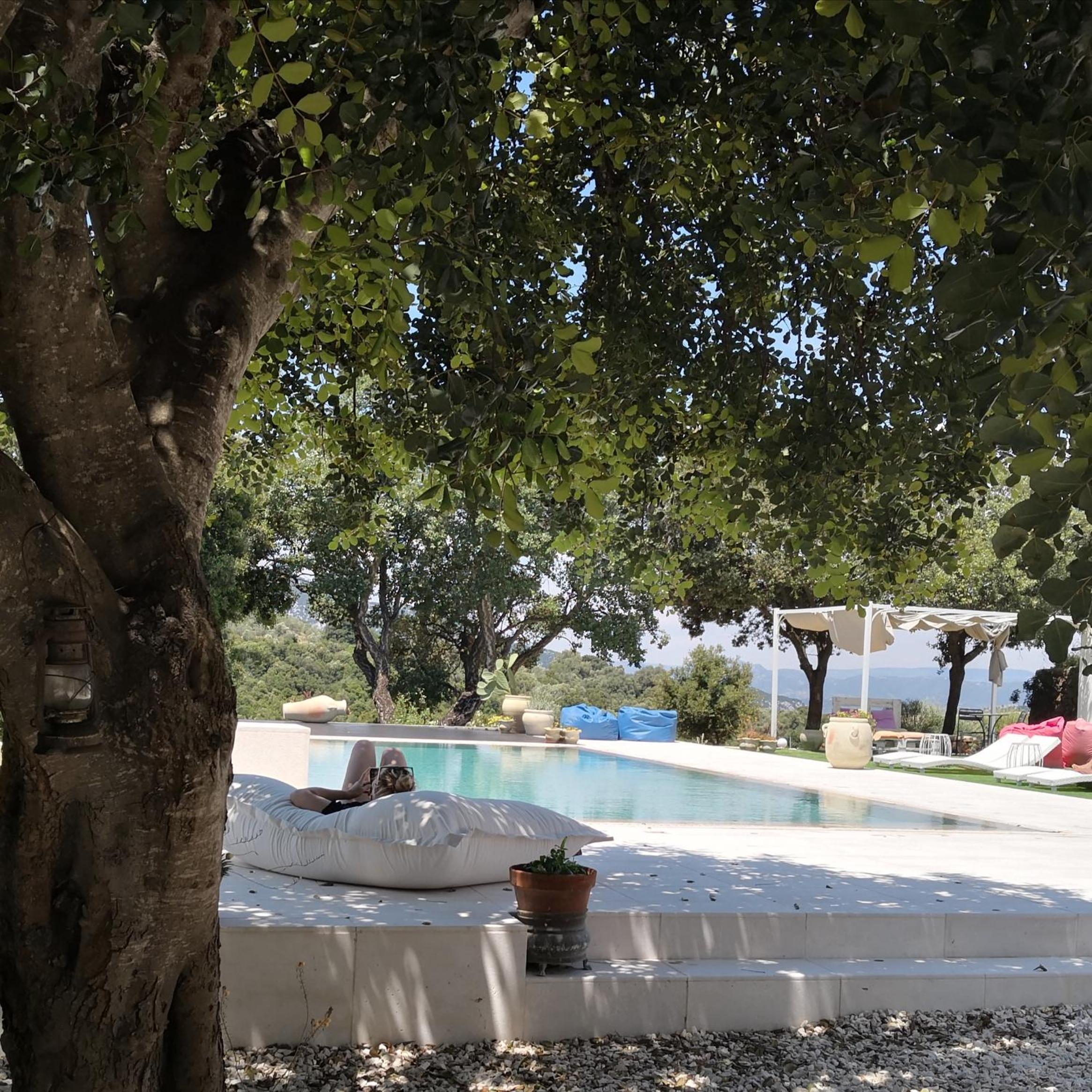 Photo 47