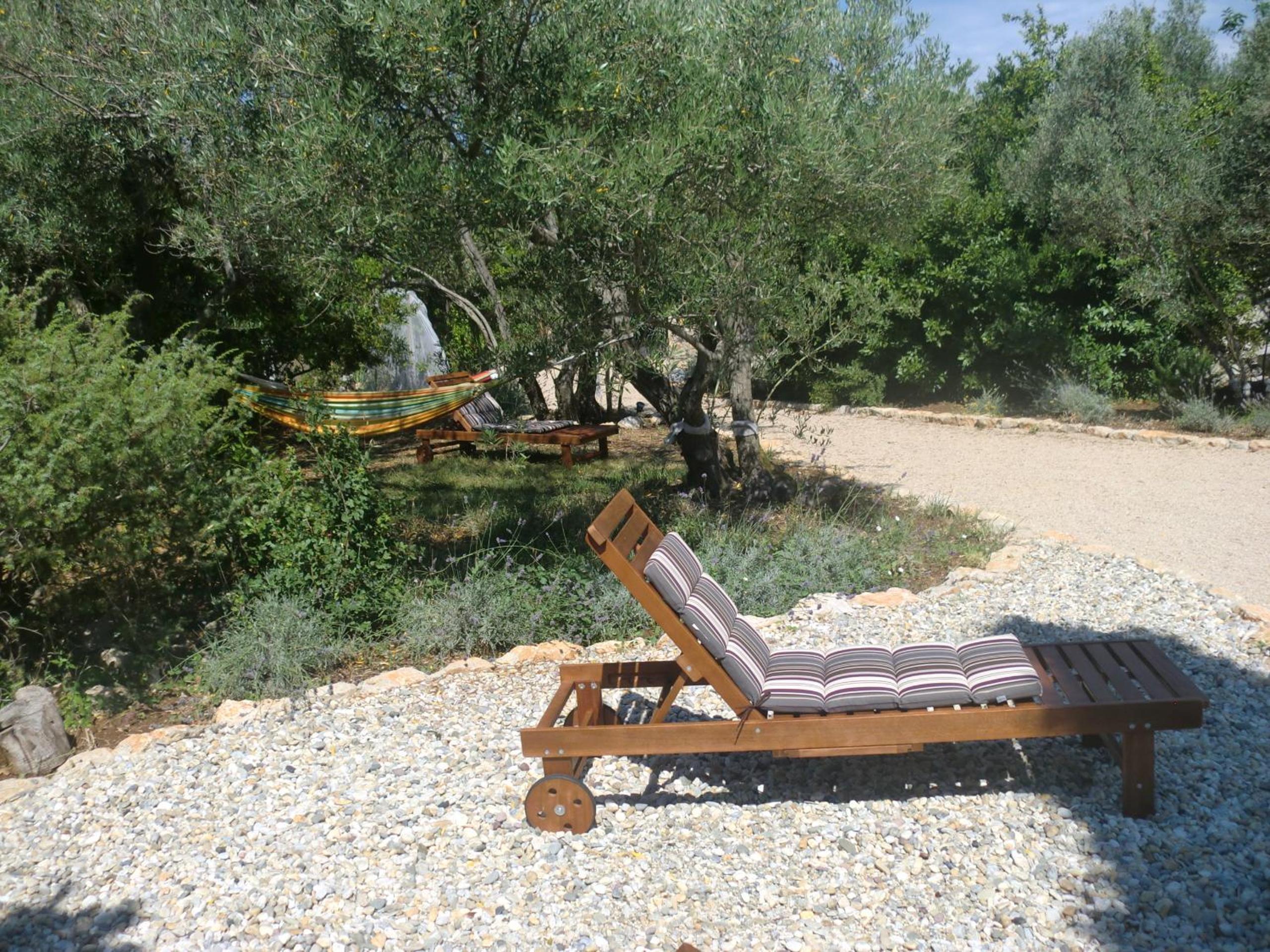 Photo 46