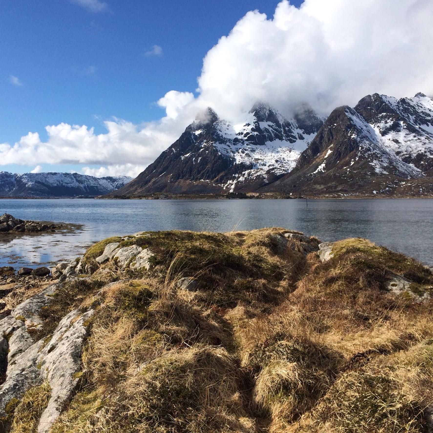 FLO Lofoten nature escape view 5