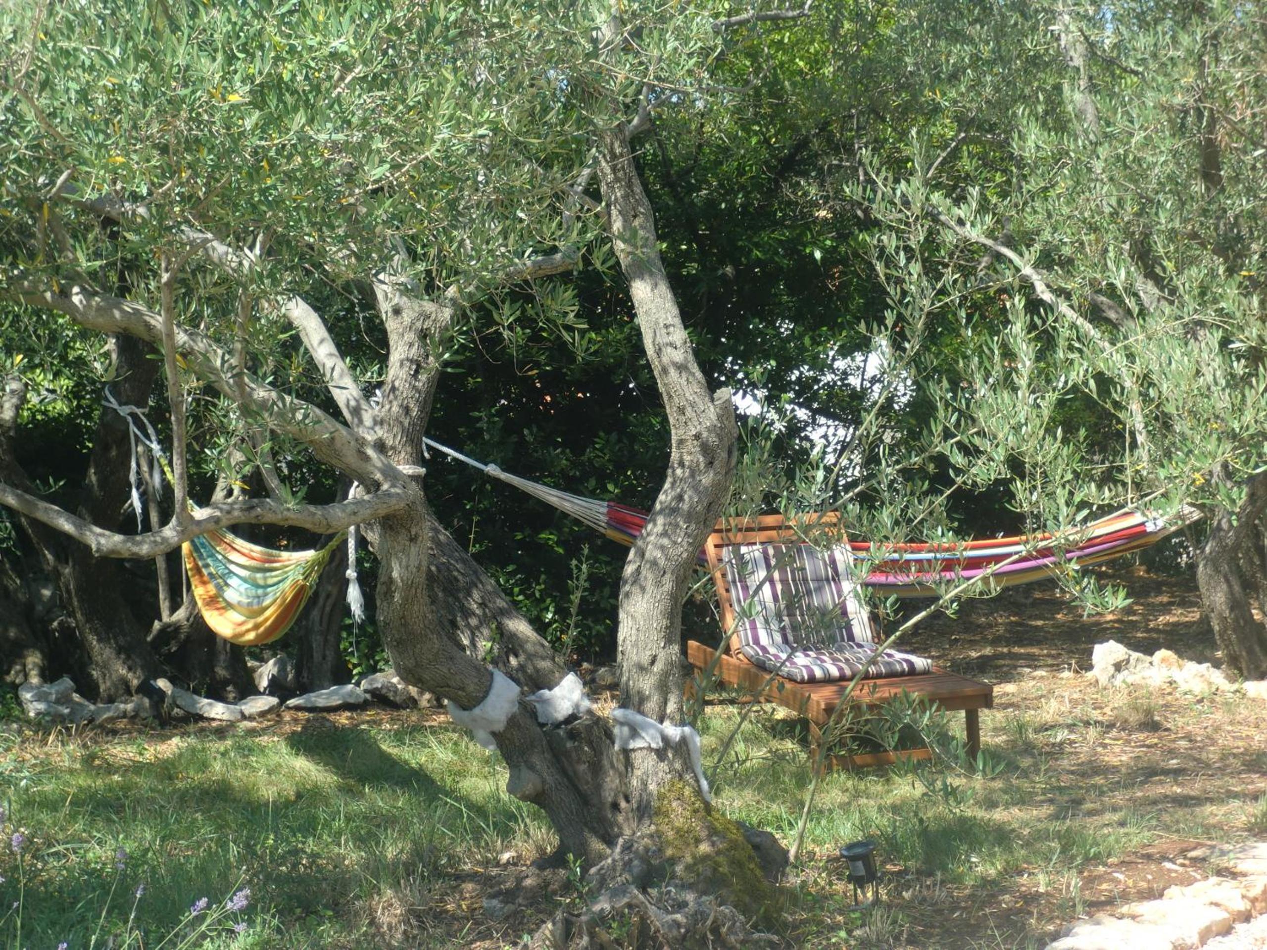 Photo 47