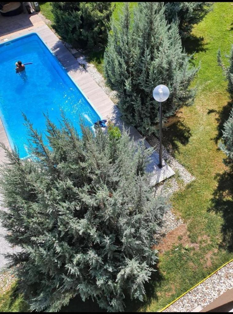 Tranzzit Airport Apartment II