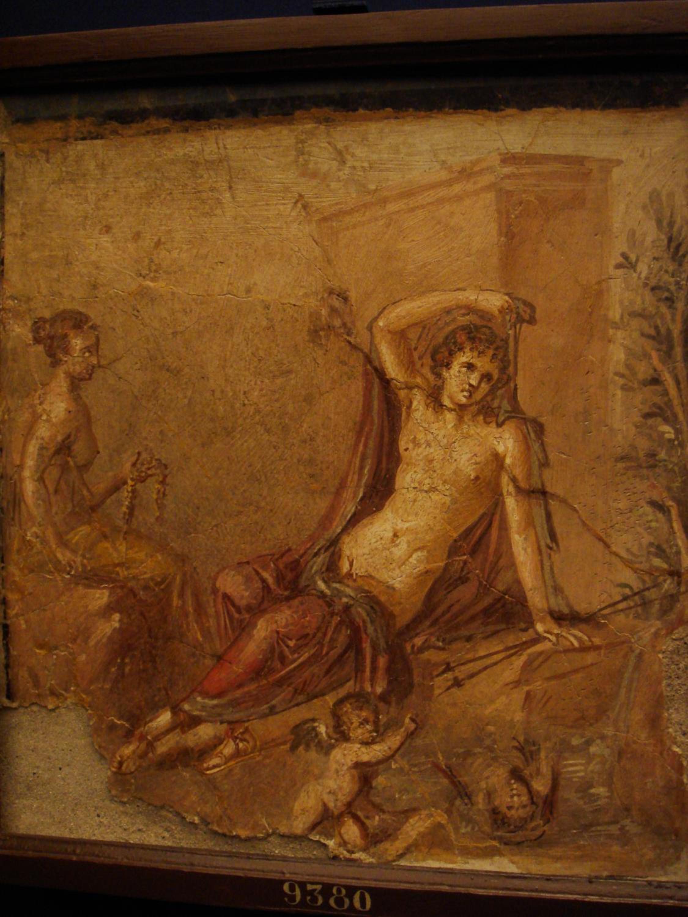 Domus Narciso Gallery