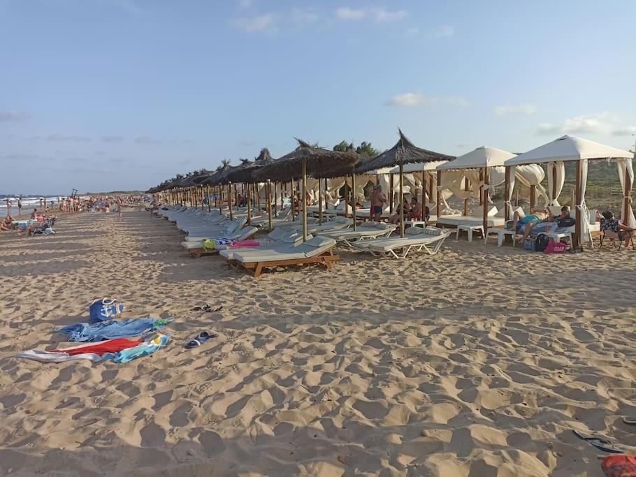 Bungalow en primera línea del mar