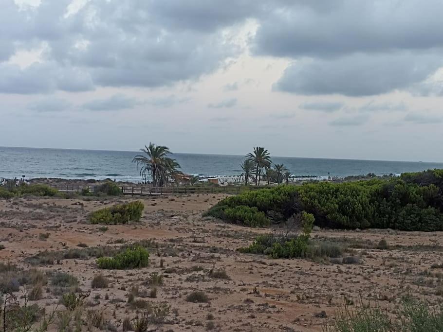 Bungalow en primera línea del mar
