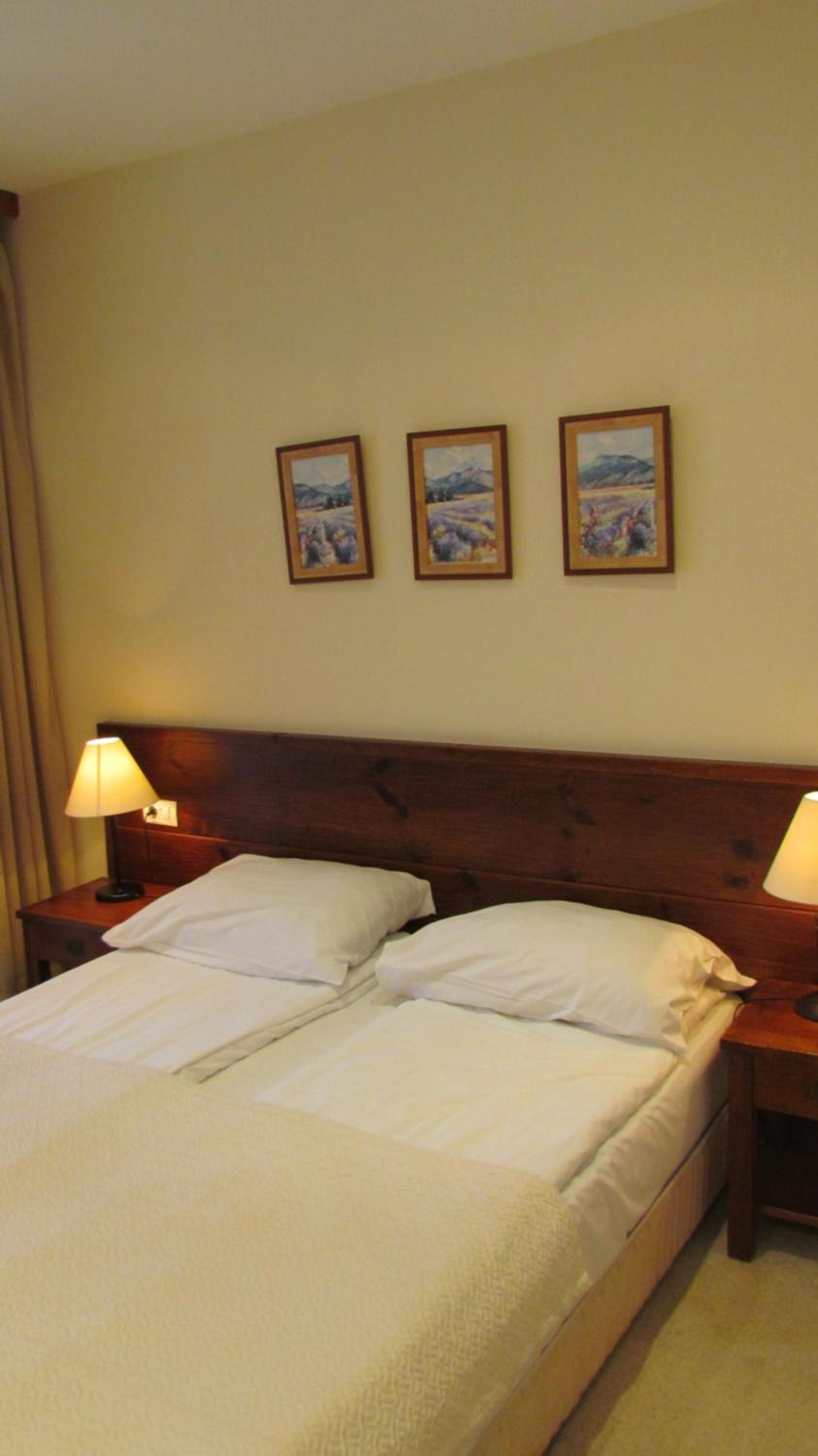 St Ivan Rilski SPA Luxury Apartment Bansko