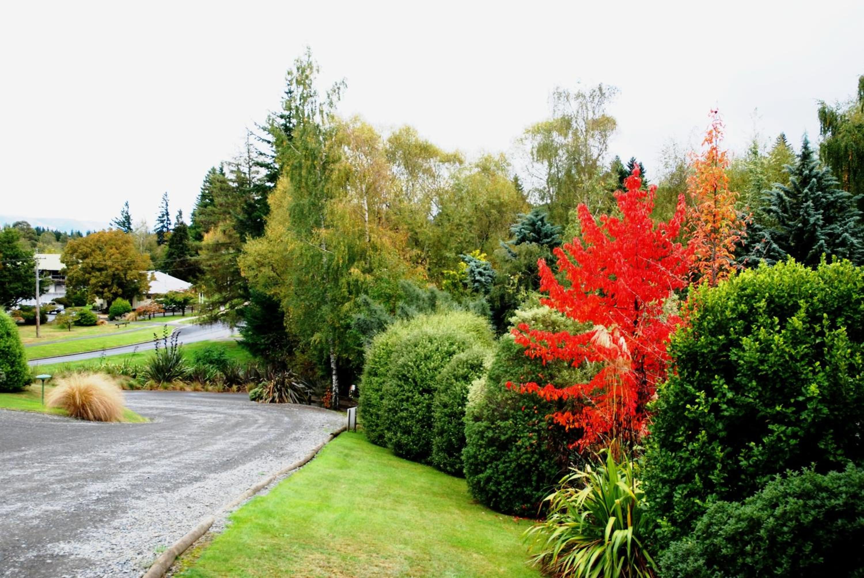 Photo 27