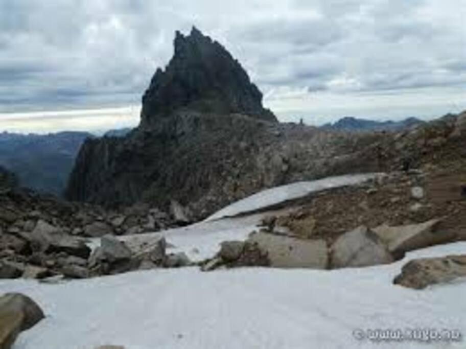 Photo 26