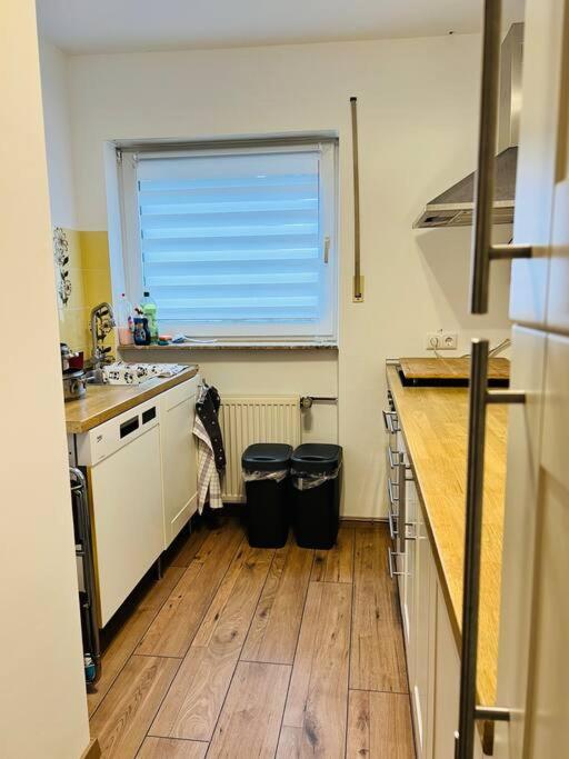 Ferienwohnung in Rheinnähe