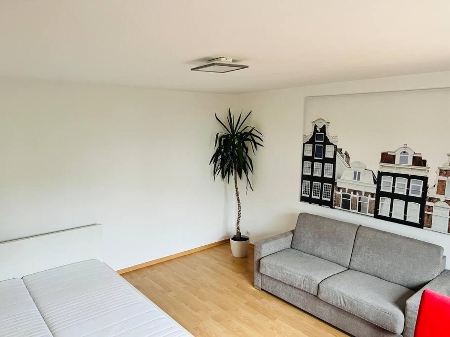 Ferienwohnung in Rheinnähe