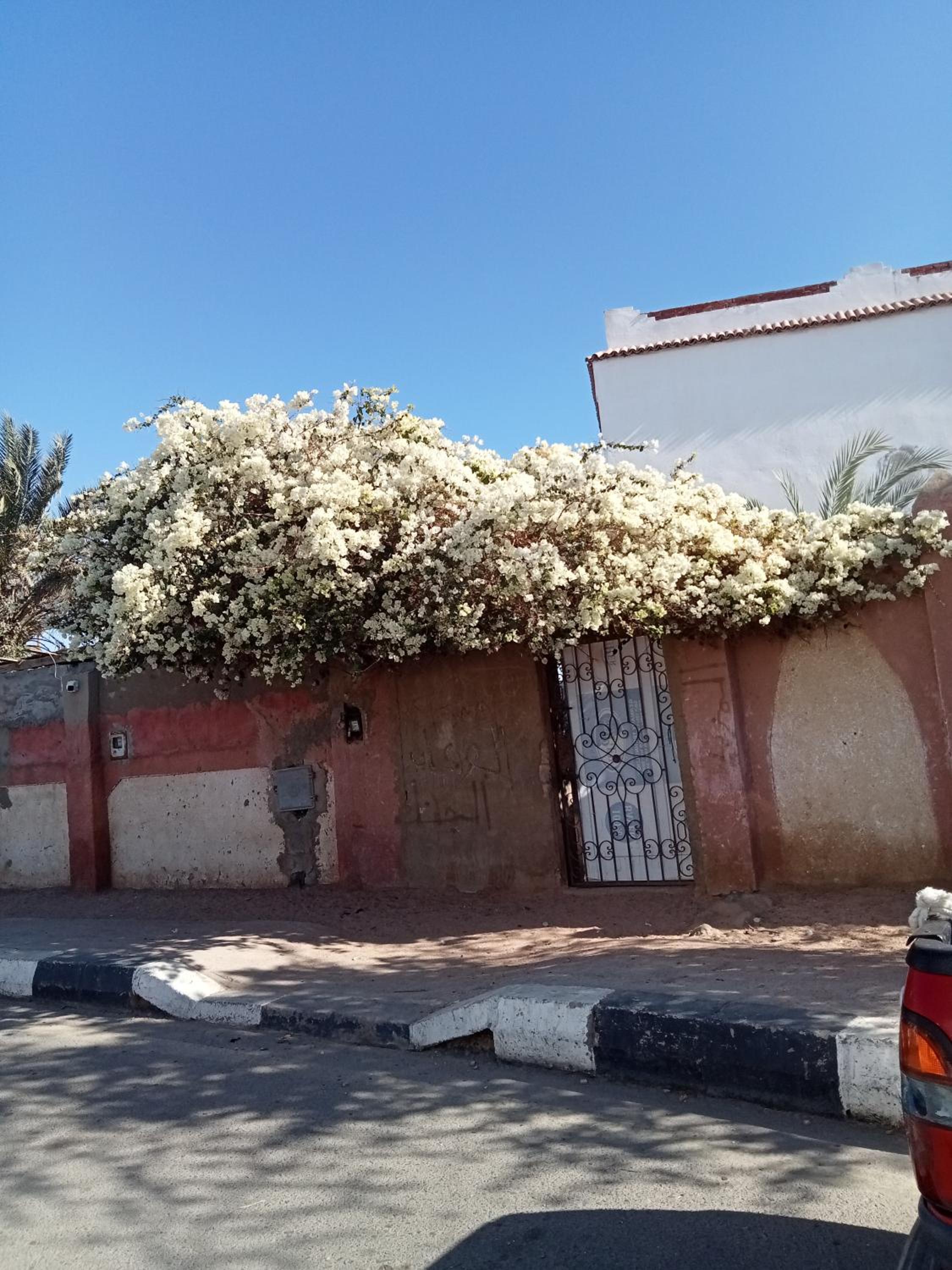 House in dahab