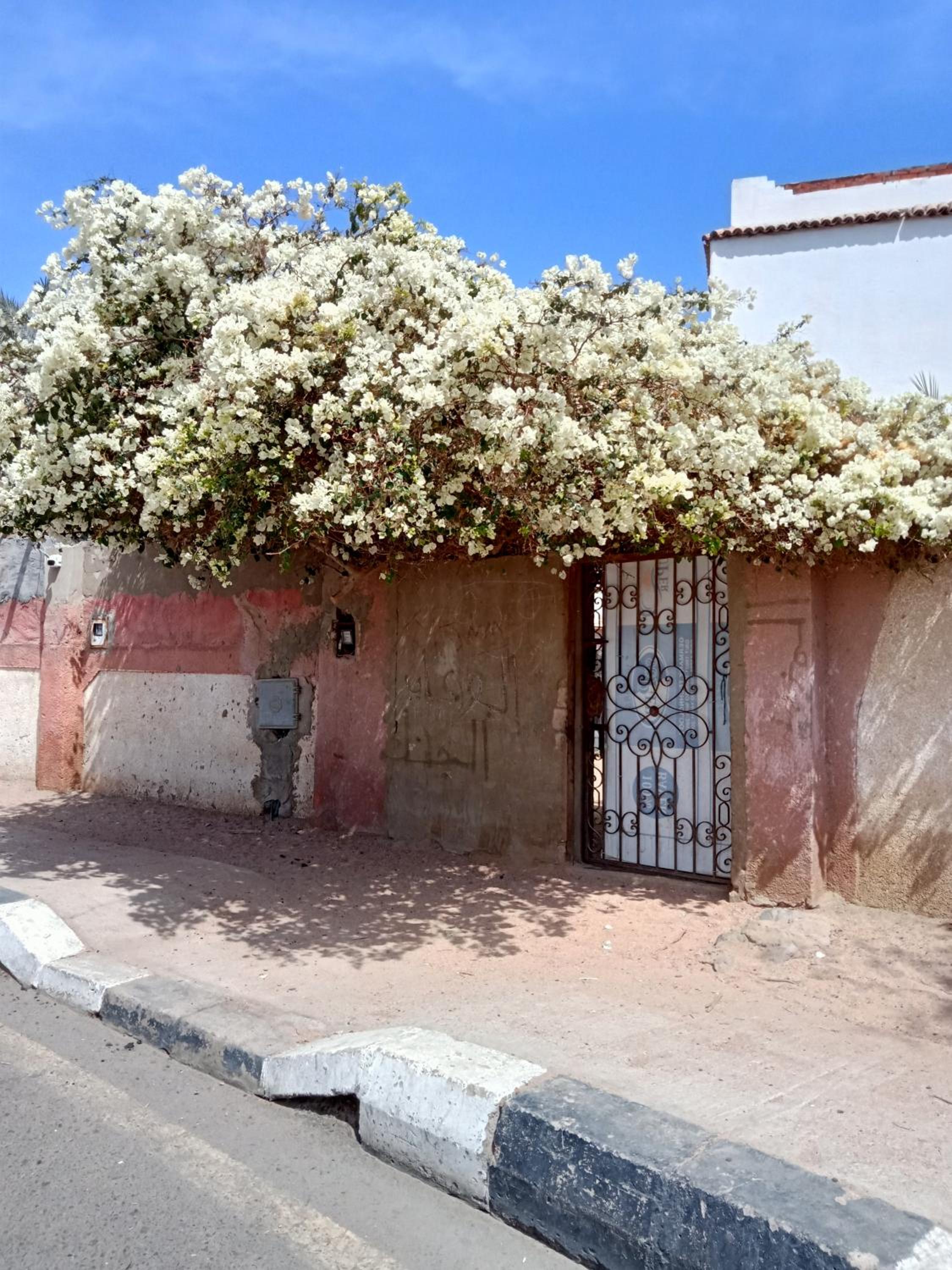 House in dahab