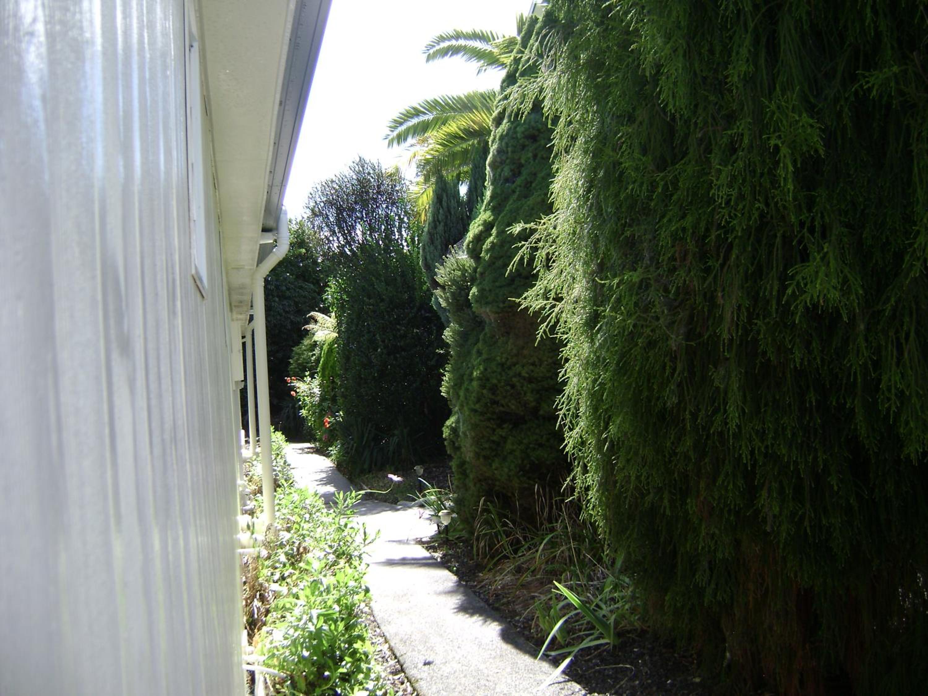 Mataki Motel view 4