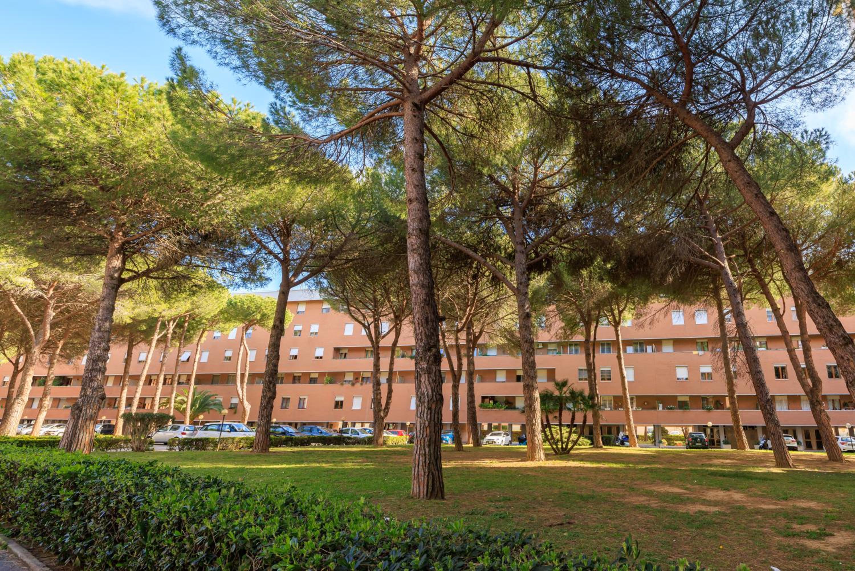 L' essenziale photo 2