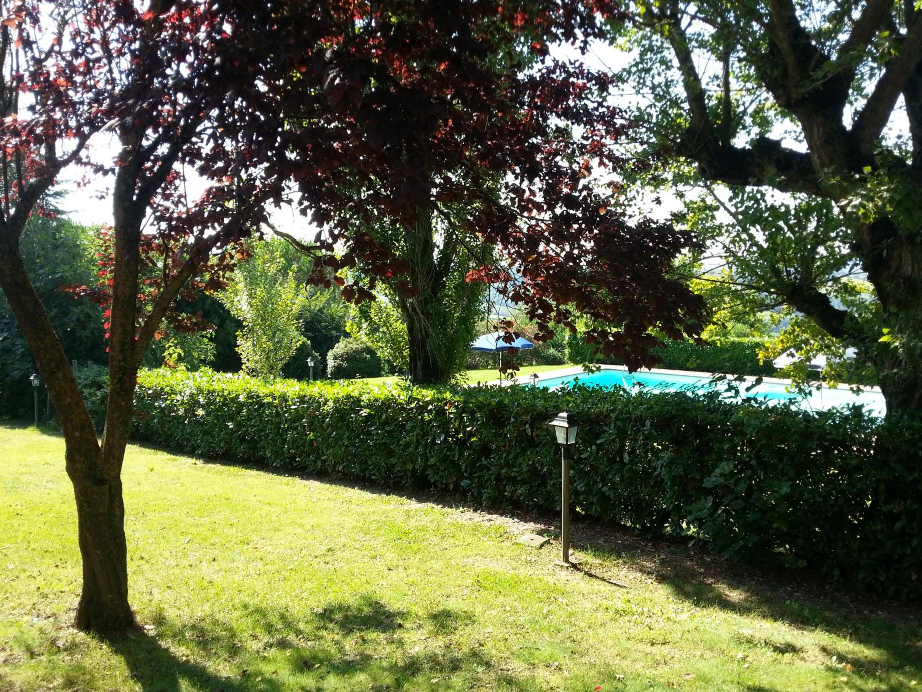 Photo 43