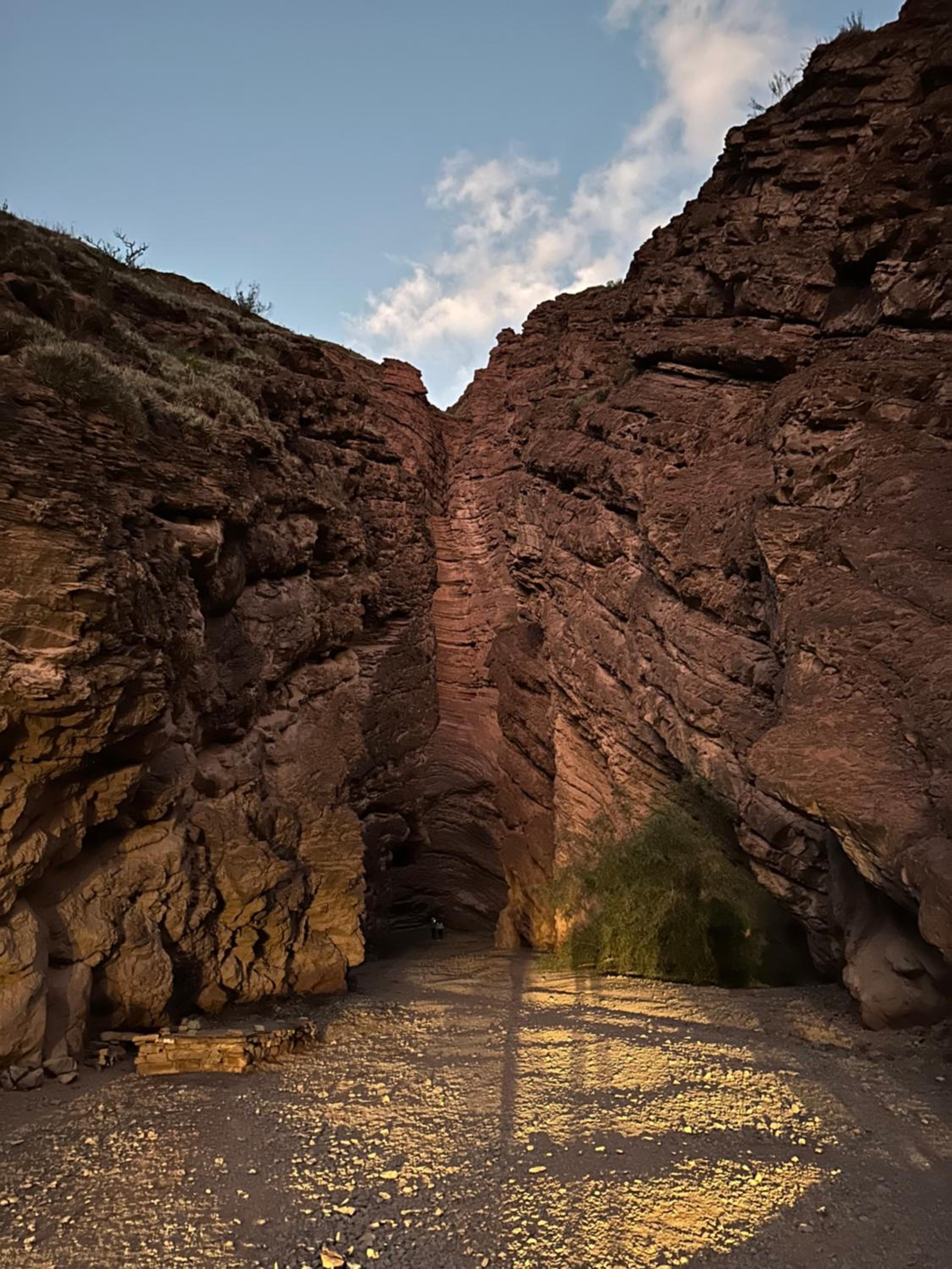 Alquiler Casa Familiar Cafayate