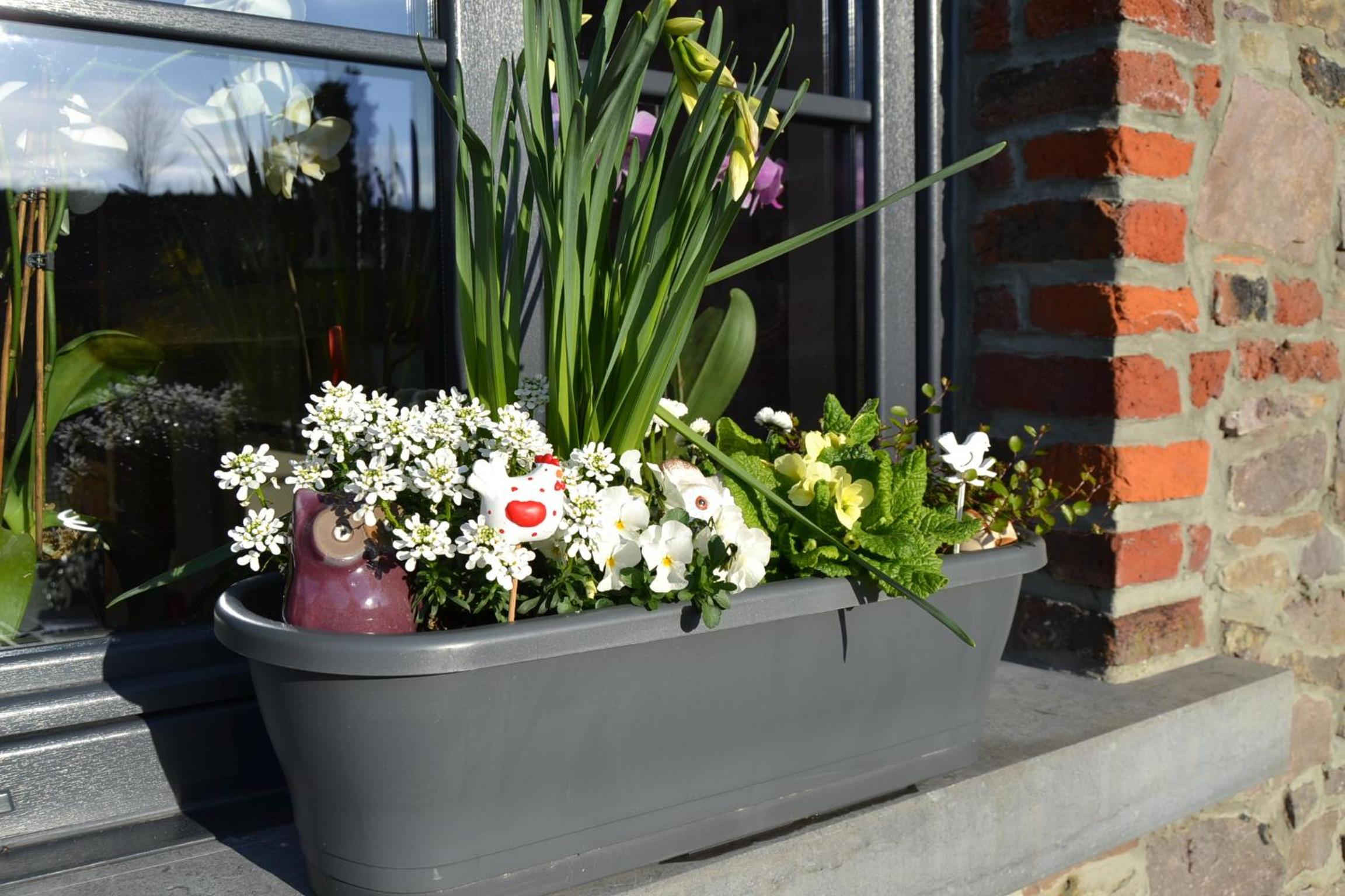 Gite Spa les Estinnes