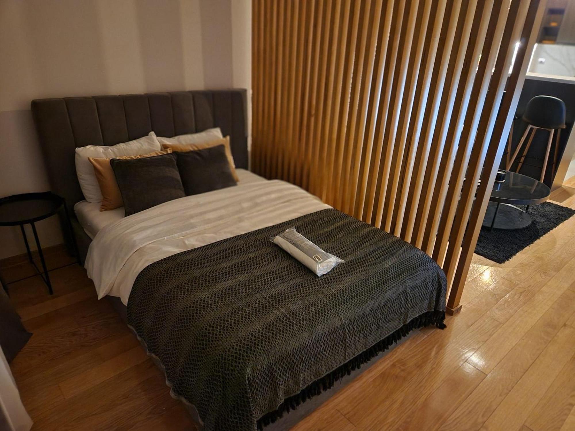 LL65 Apartments Vracar view 4