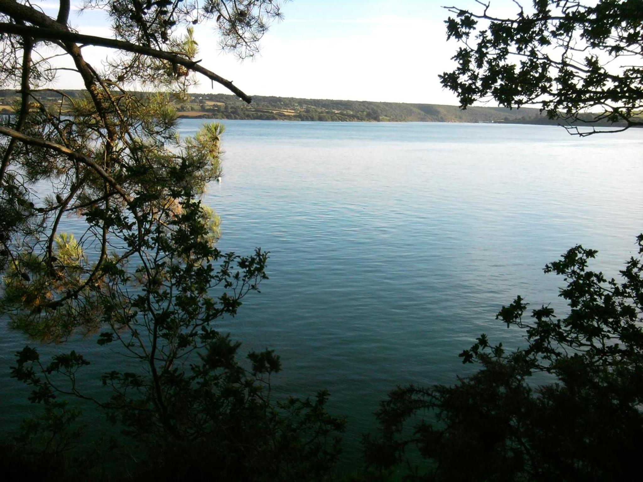 Photo 43