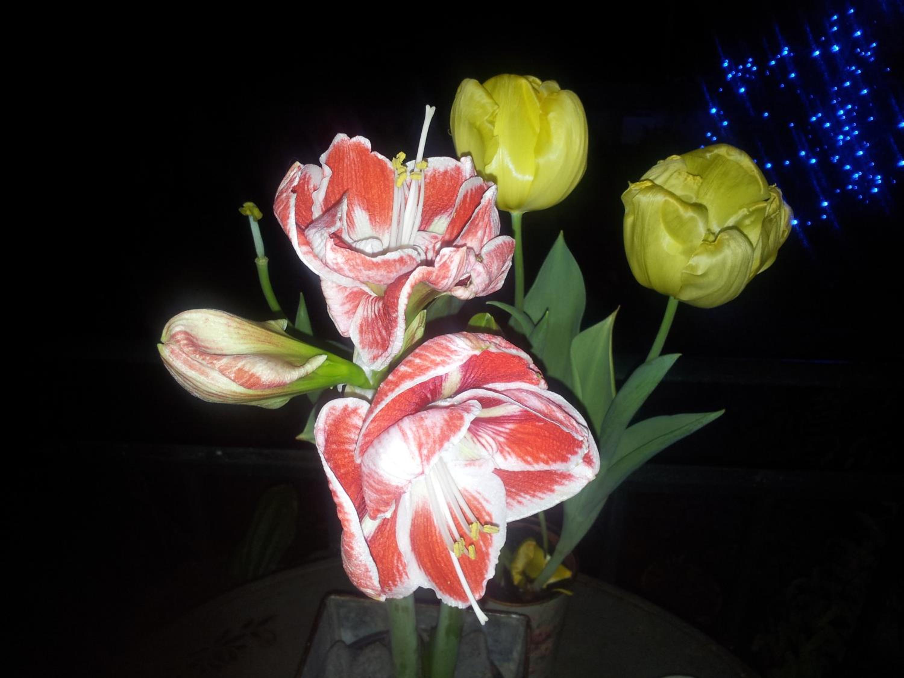 Photo 7