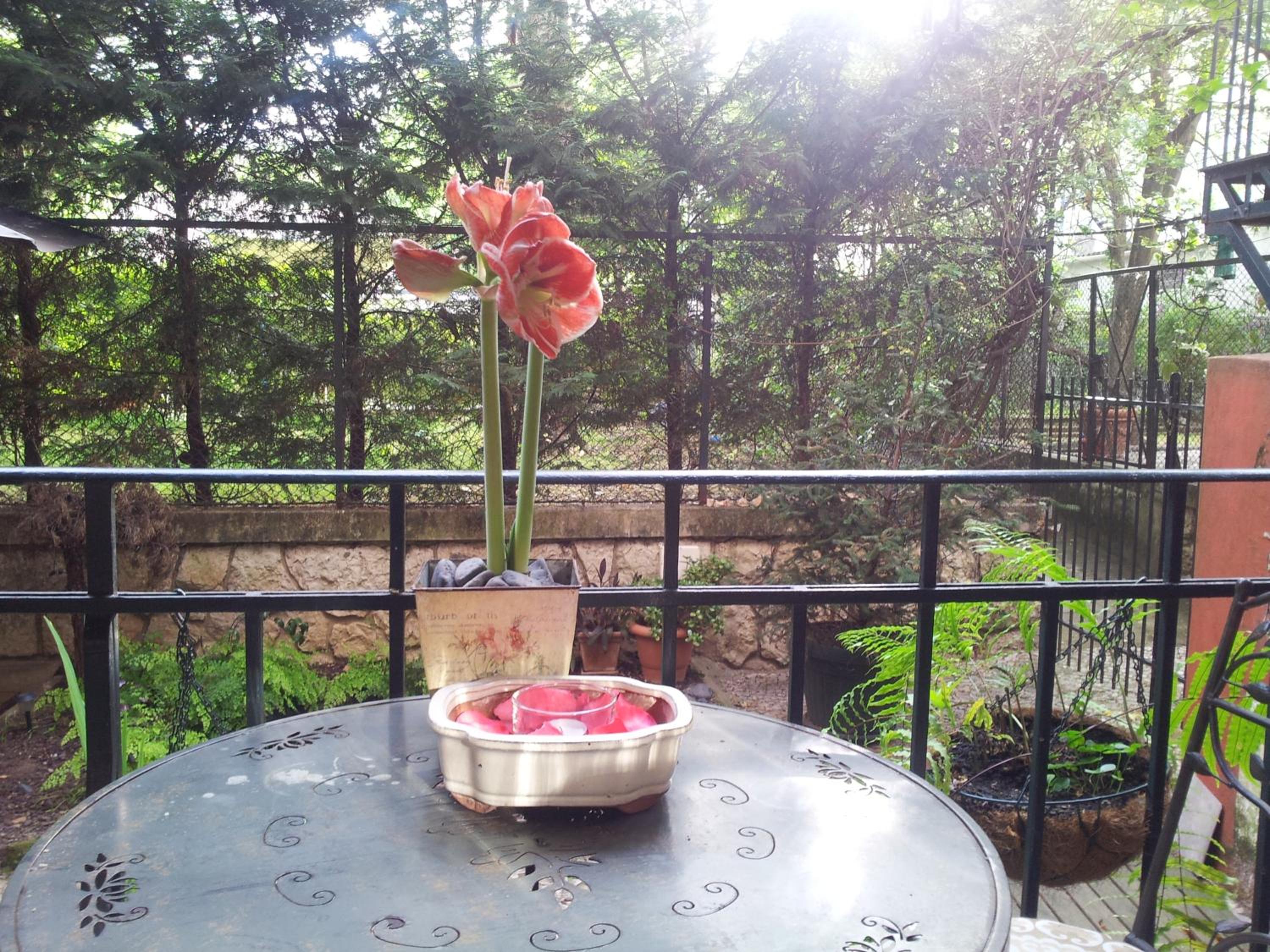 Whatever Art B&B view 4